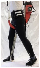 Sensors 24 04081 i005