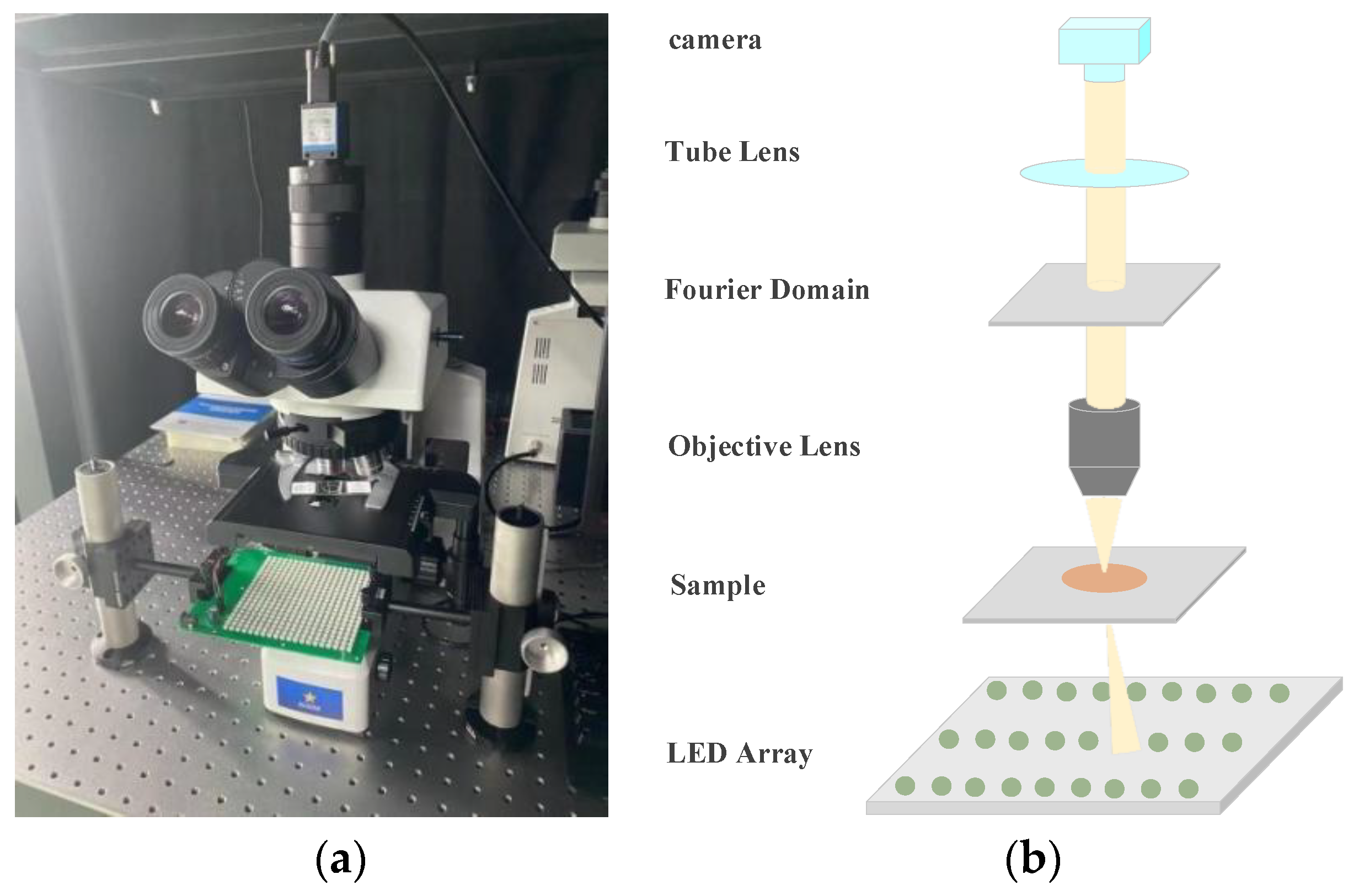 Sensors 24 04099 g006