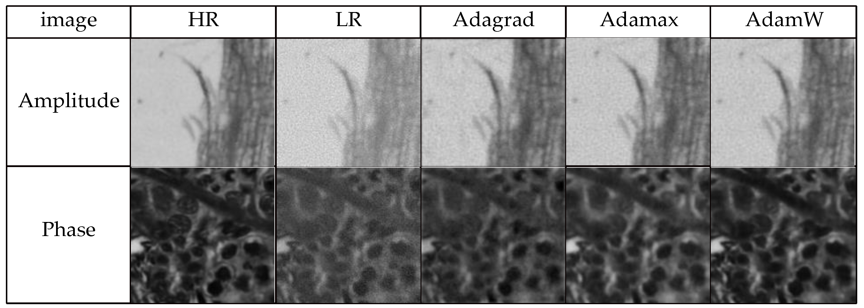 Sensors 24 04099 g008
