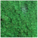 Sensors 24 04108 i001