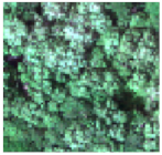 Sensors 24 04108 i002