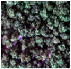 Sensors 24 04108 i003