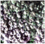 Sensors 24 04108 i004