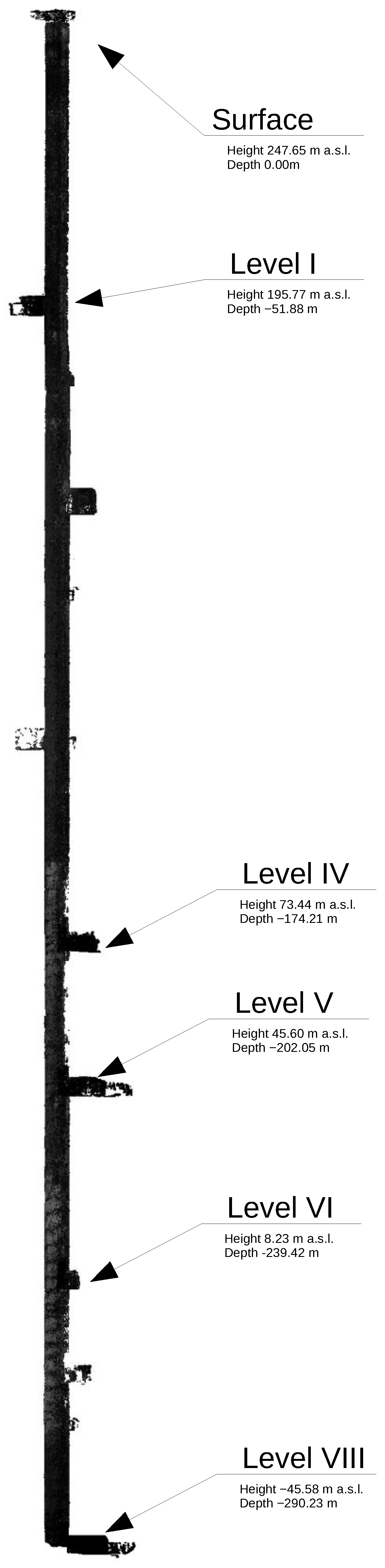 Sensors 24 04119 g004