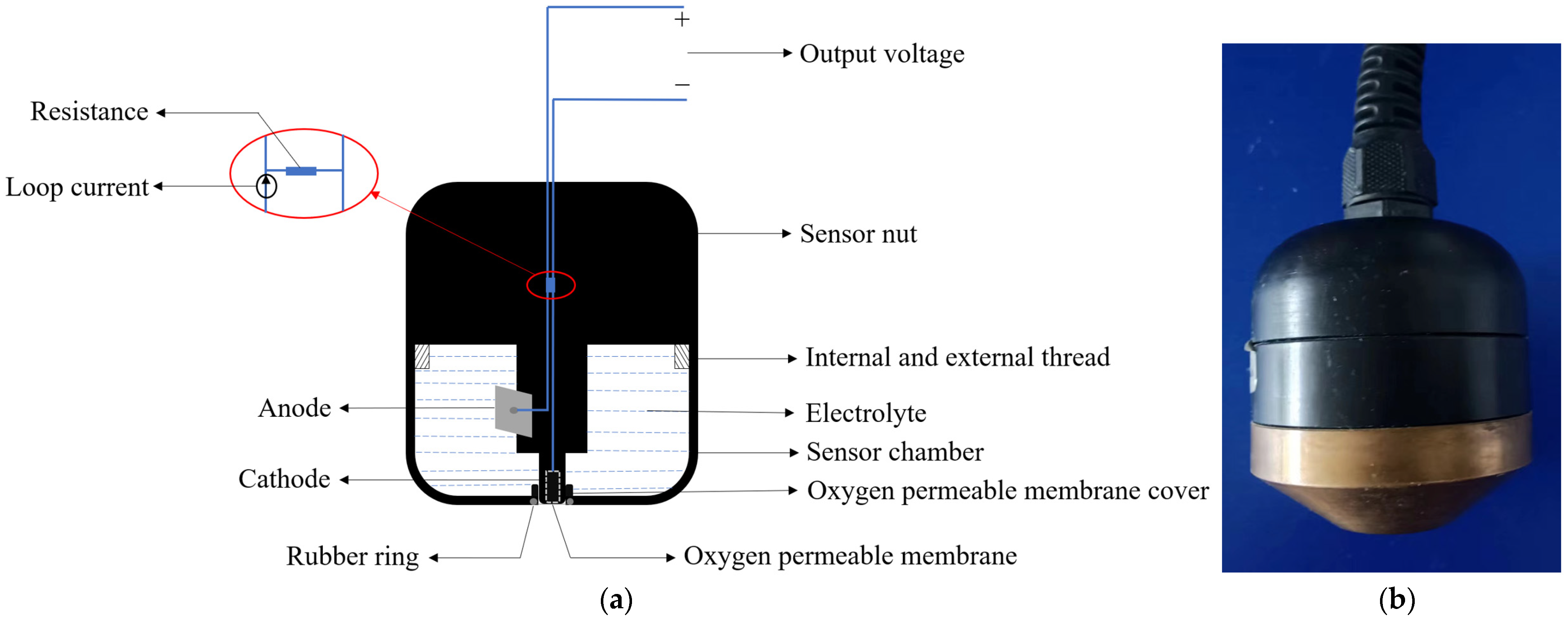 Sensors 24 04155 g001