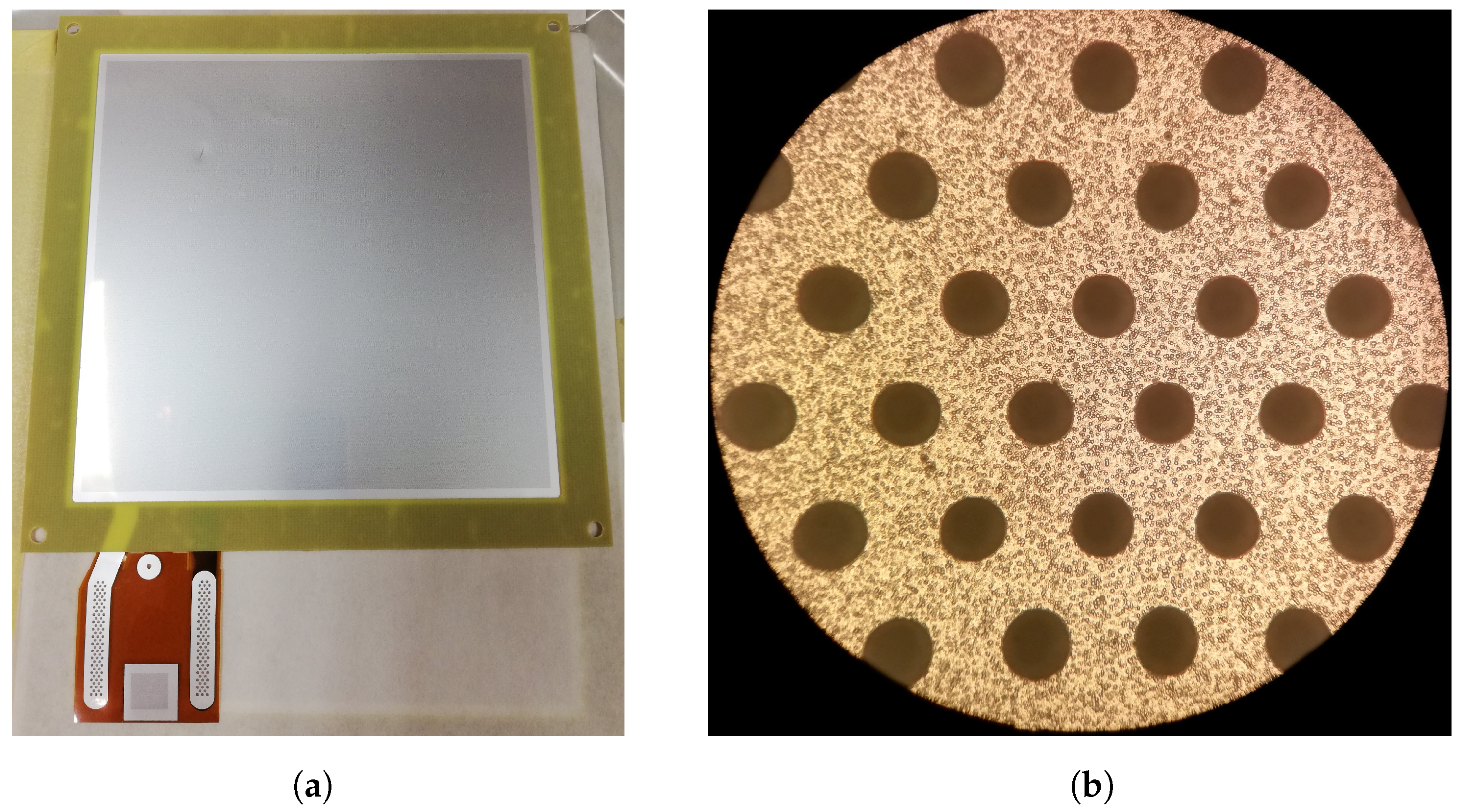 Sensors 24 04169 g001