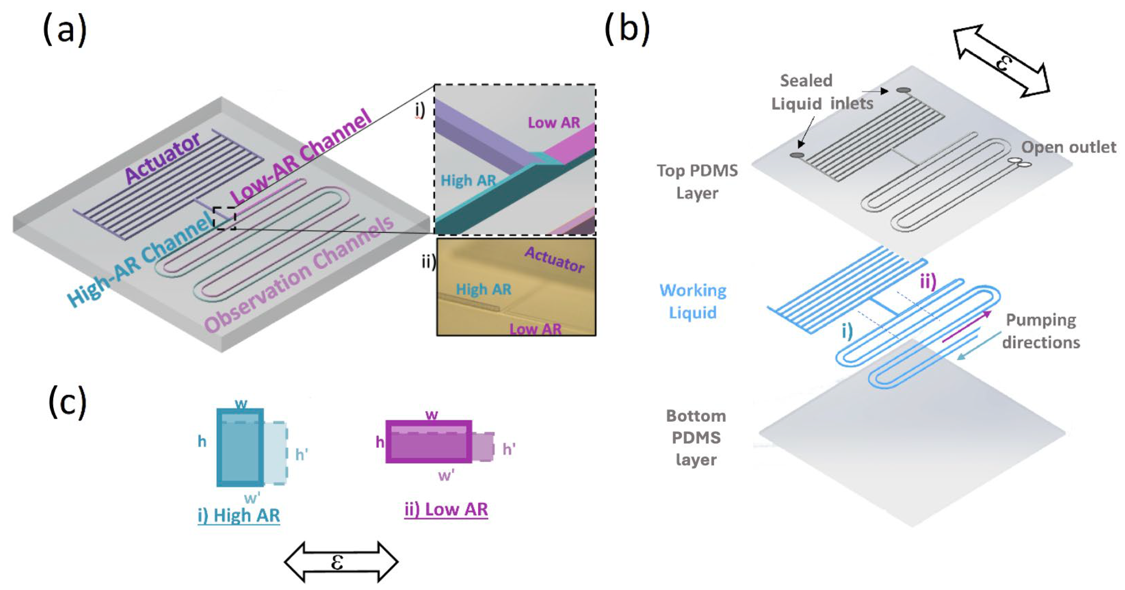 Sensors 24 04207 g001