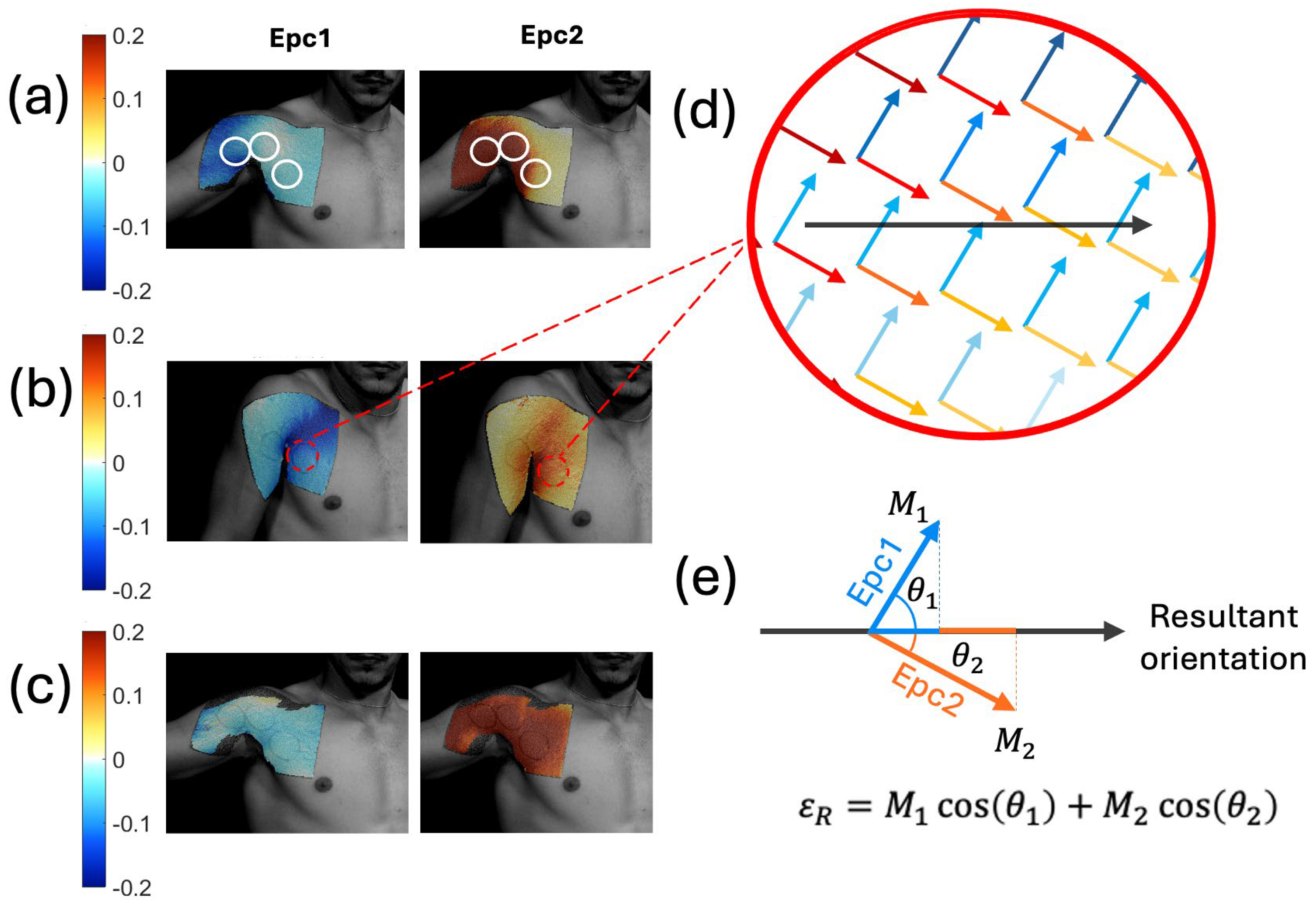 Sensors 24 04207 g006