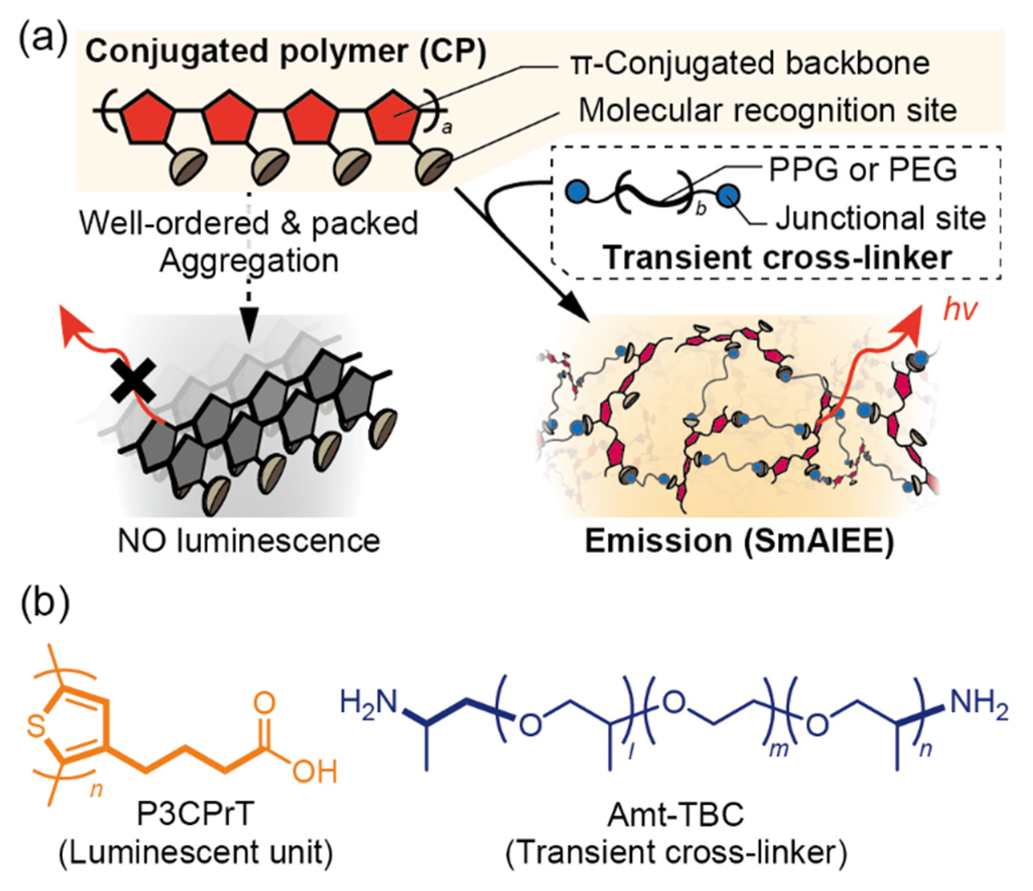 Sensors 24 04245 g001