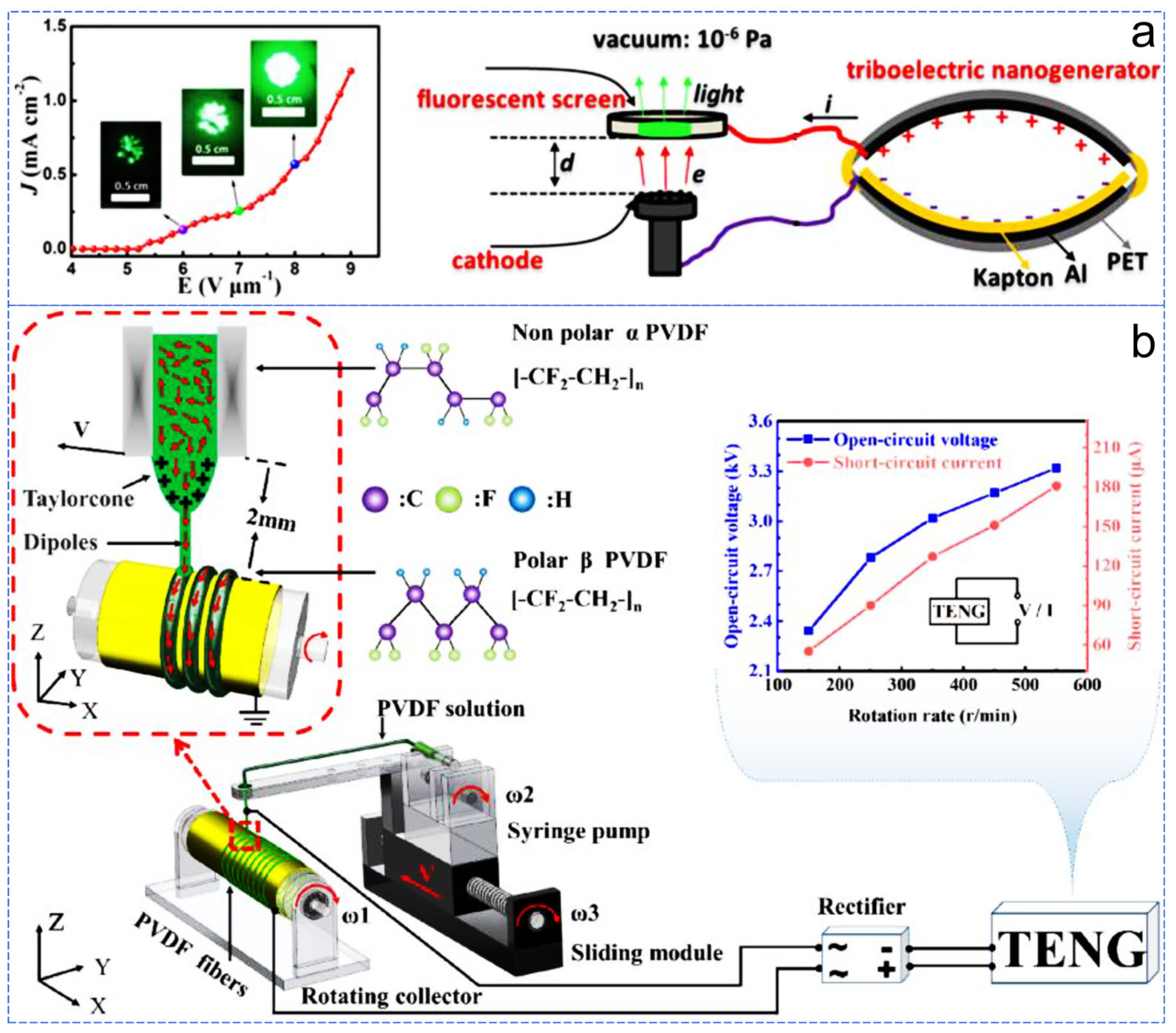Sensors 24 04298 g008