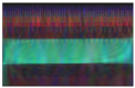 Sensors 24 04343 i005