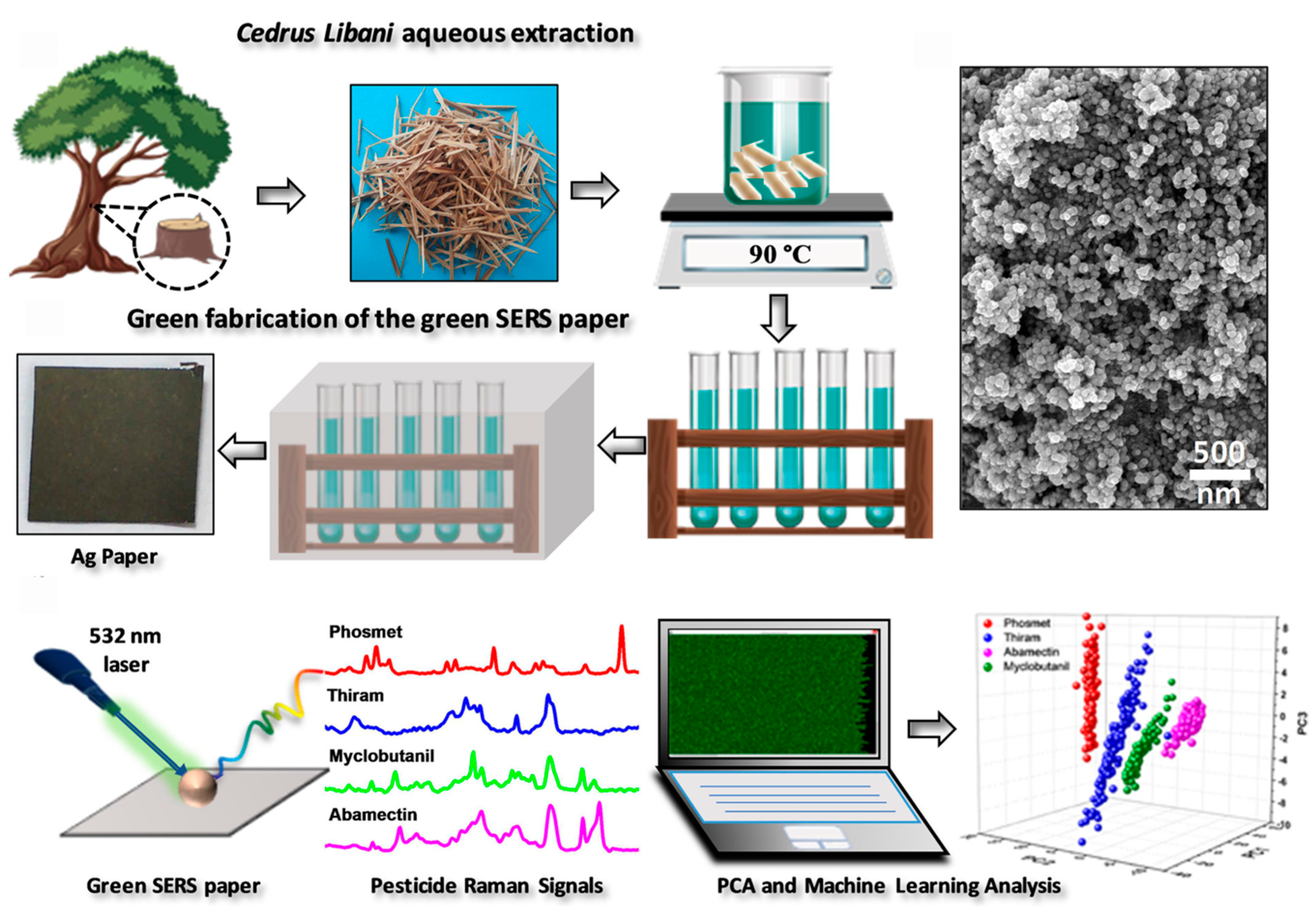 Sensors 24 04350 g003