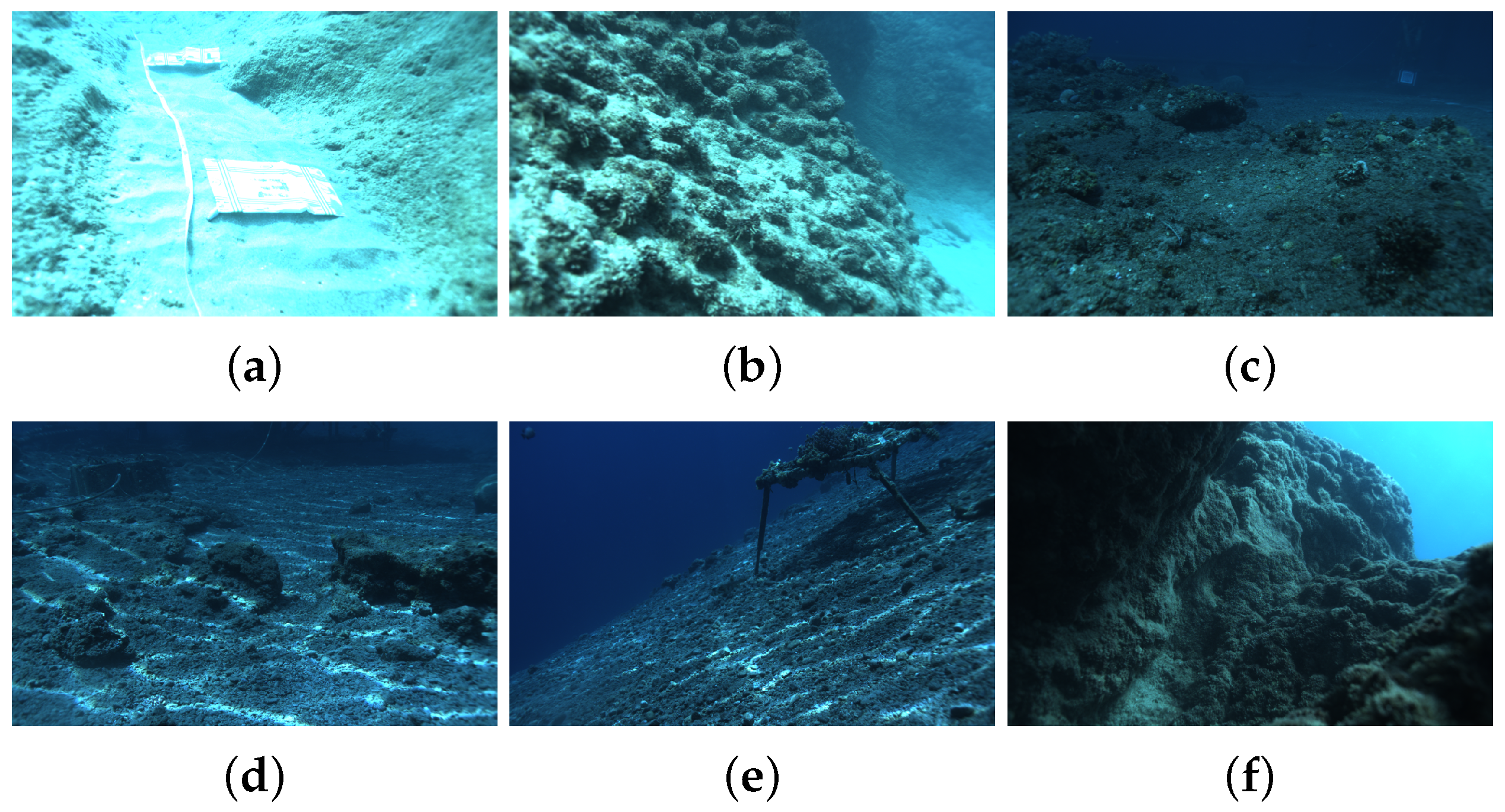 Sensors 24 04353 g005