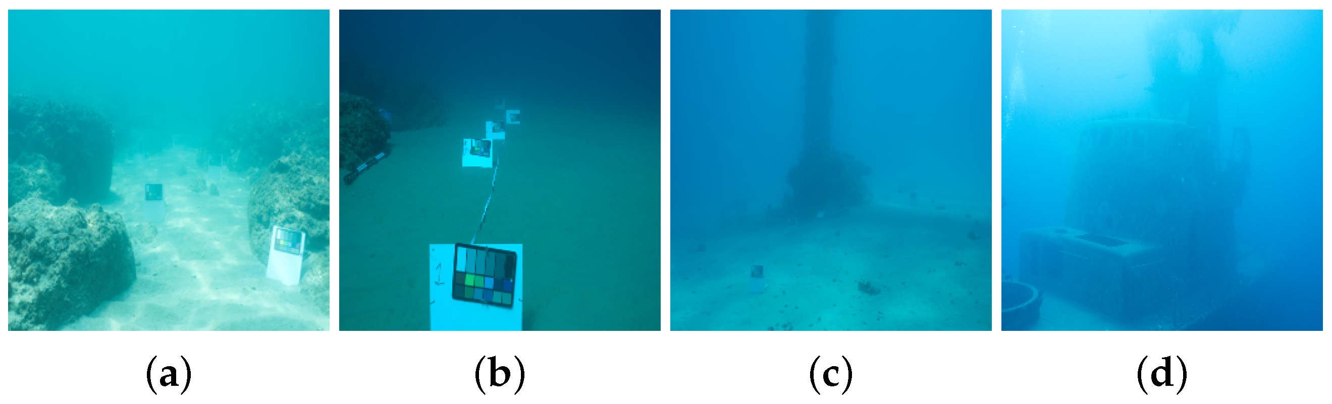 Sensors 24 04353 g006