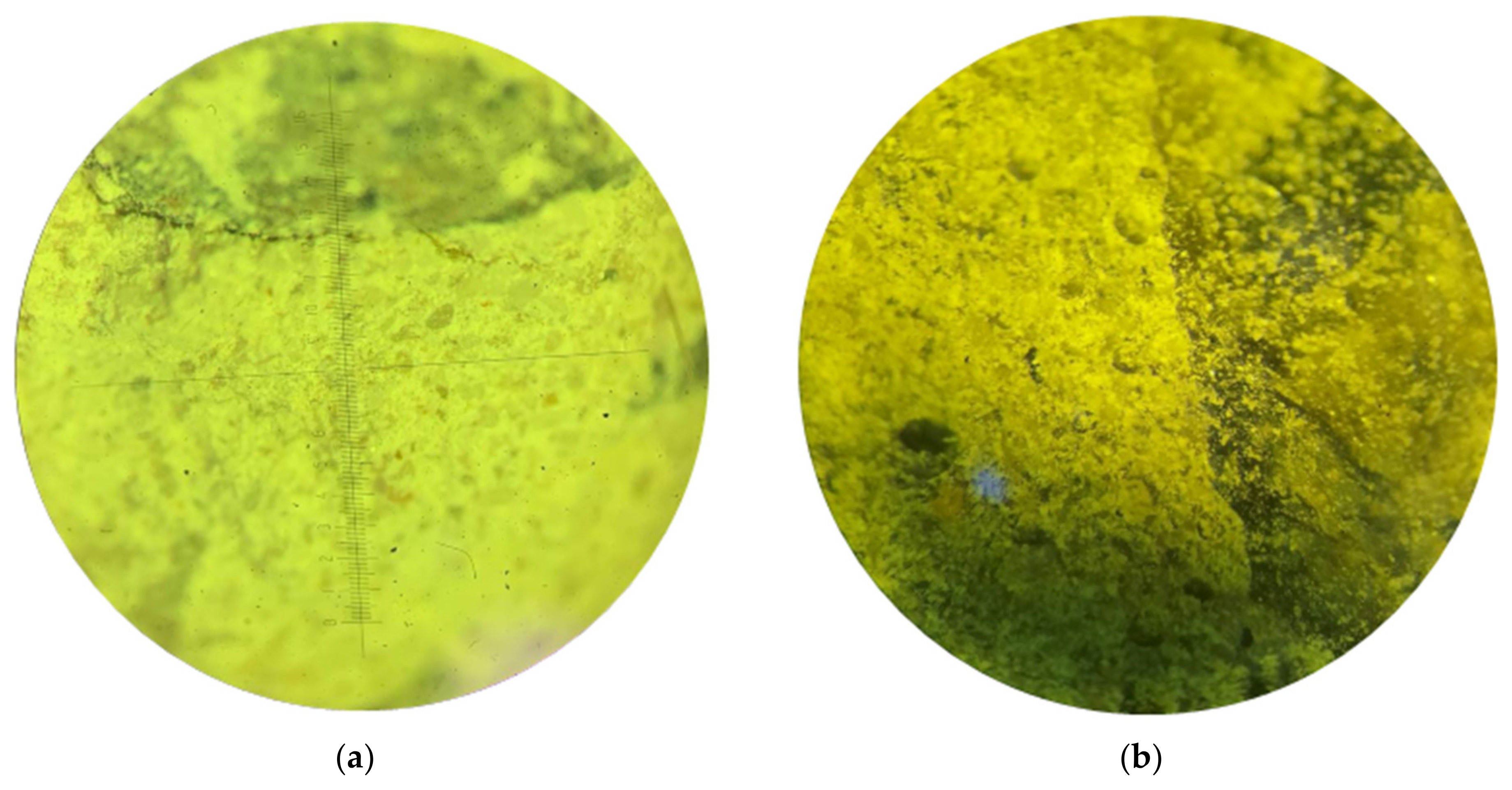 Sensors 24 04373 g001