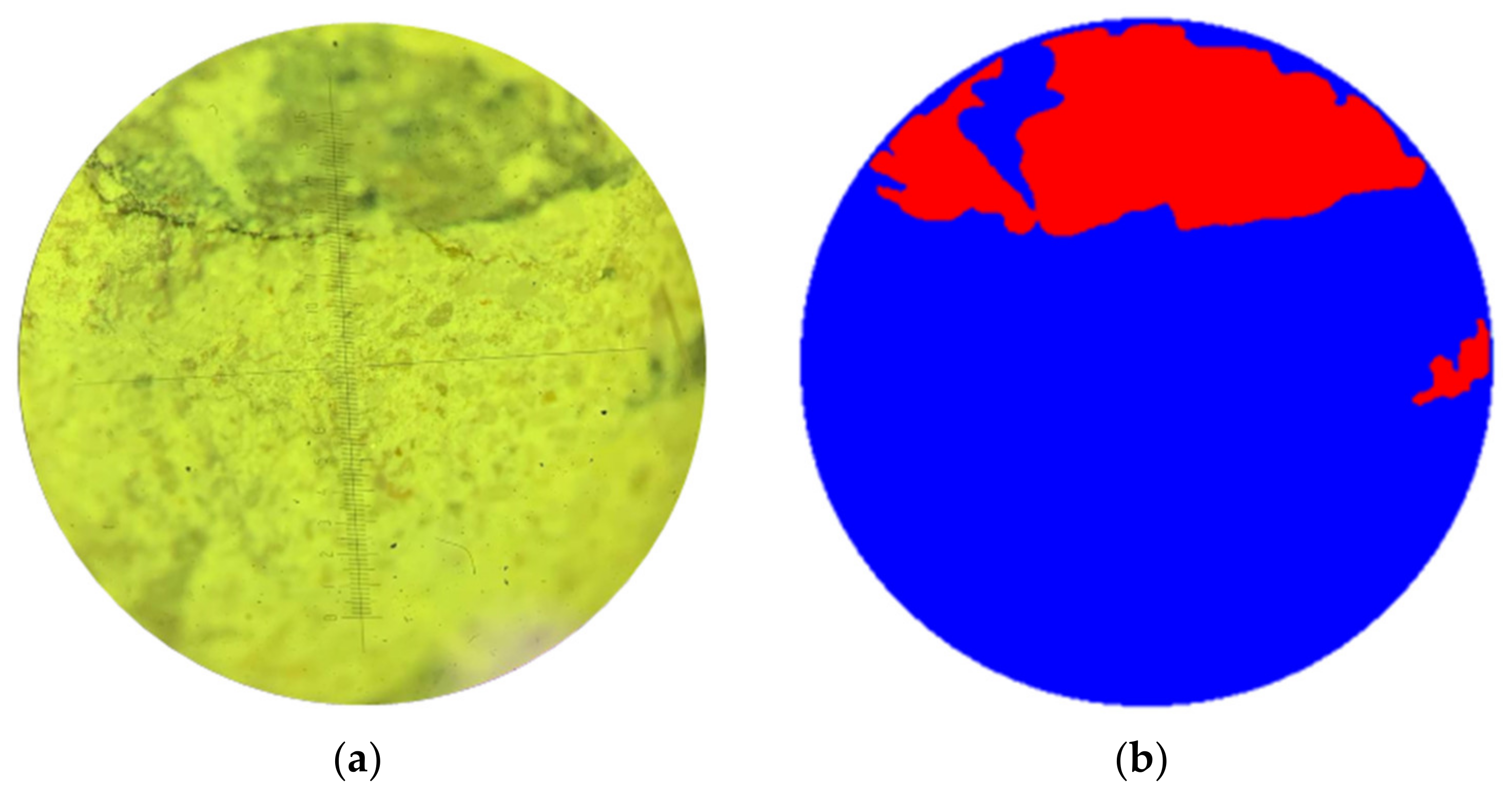 Sensors 24 04373 g006
