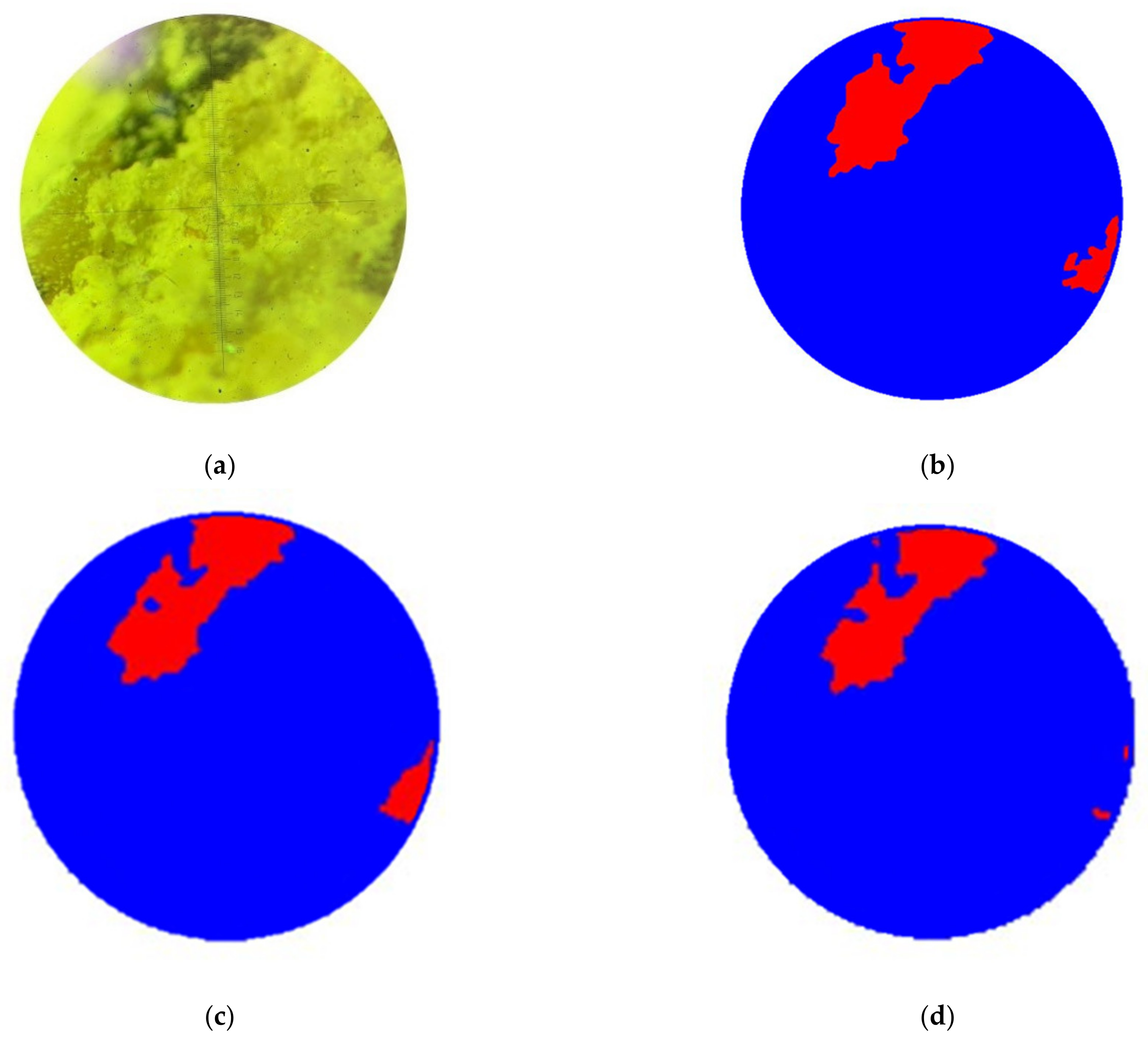 Sensors 24 04373 g010a