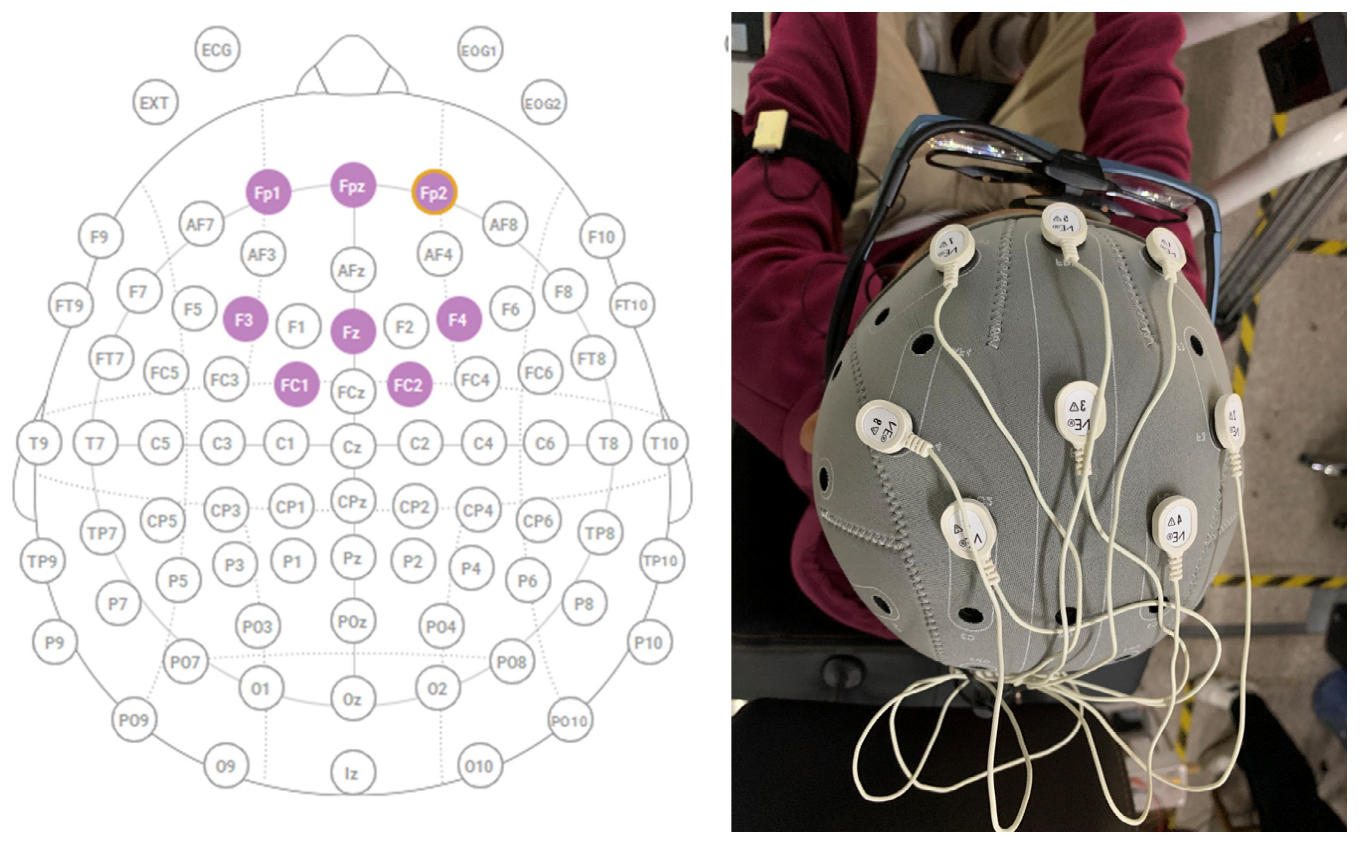 An Identification Method for Road Hypnosis Based on Human EEG Data | MDPI