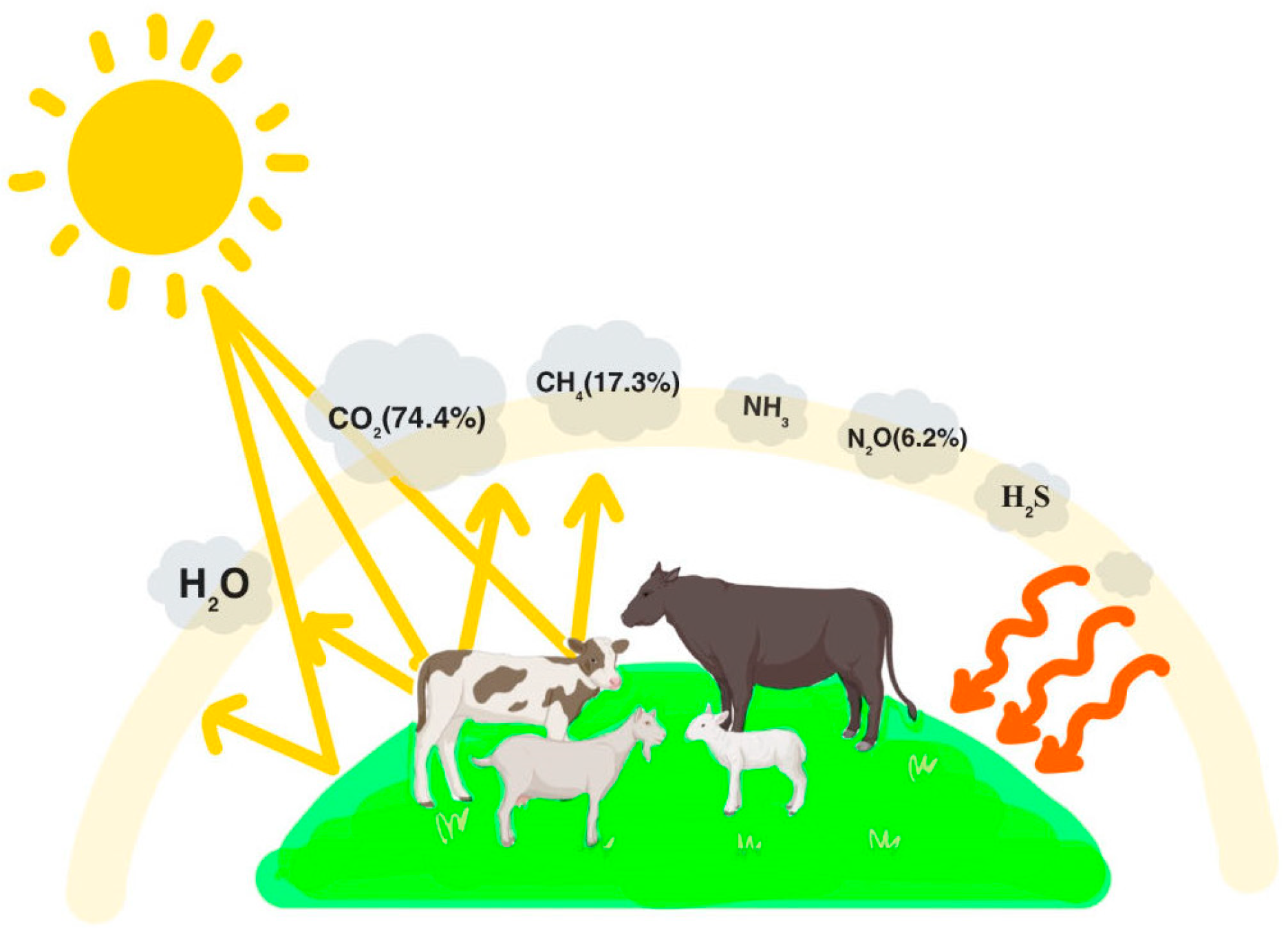 Sensors 24 04423 g001
