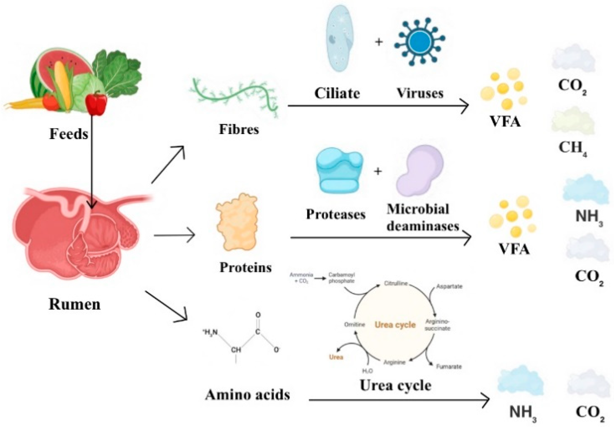 Sensors 24 04423 g002