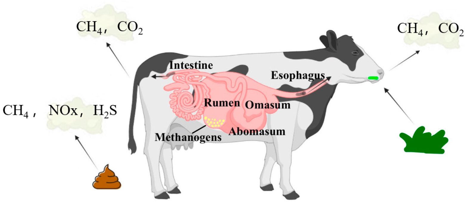 Sensors 24 04423 g003