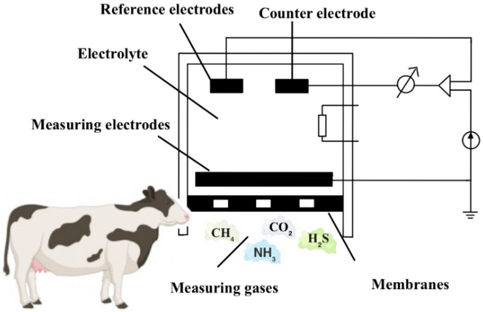 Sensors 24 04423 g005