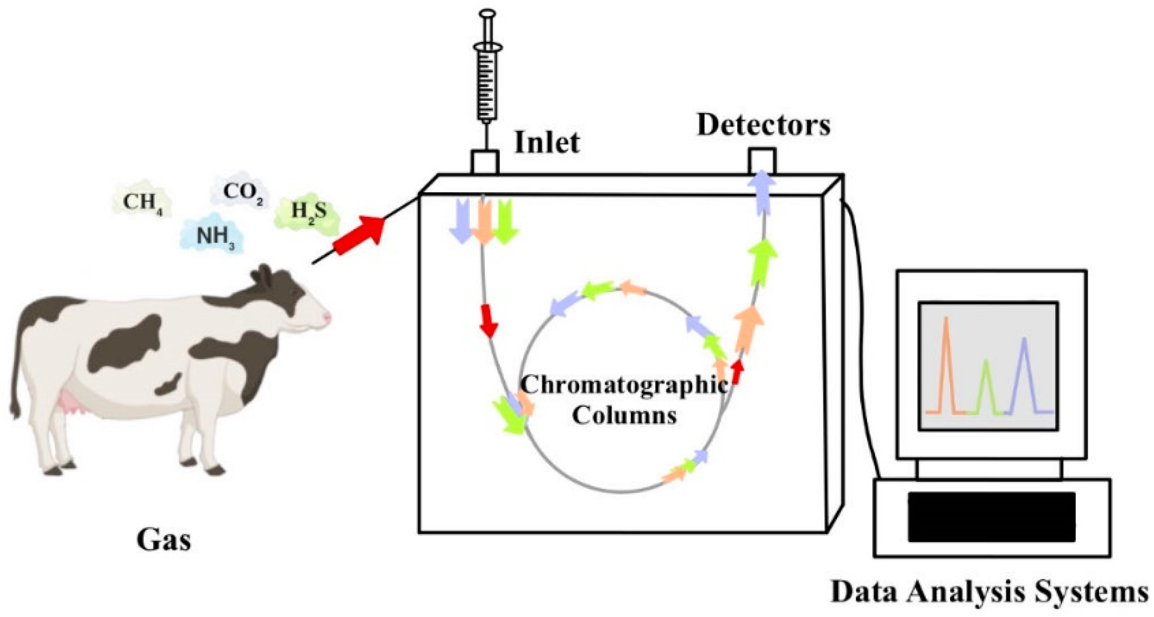 Sensors 24 04423 g006