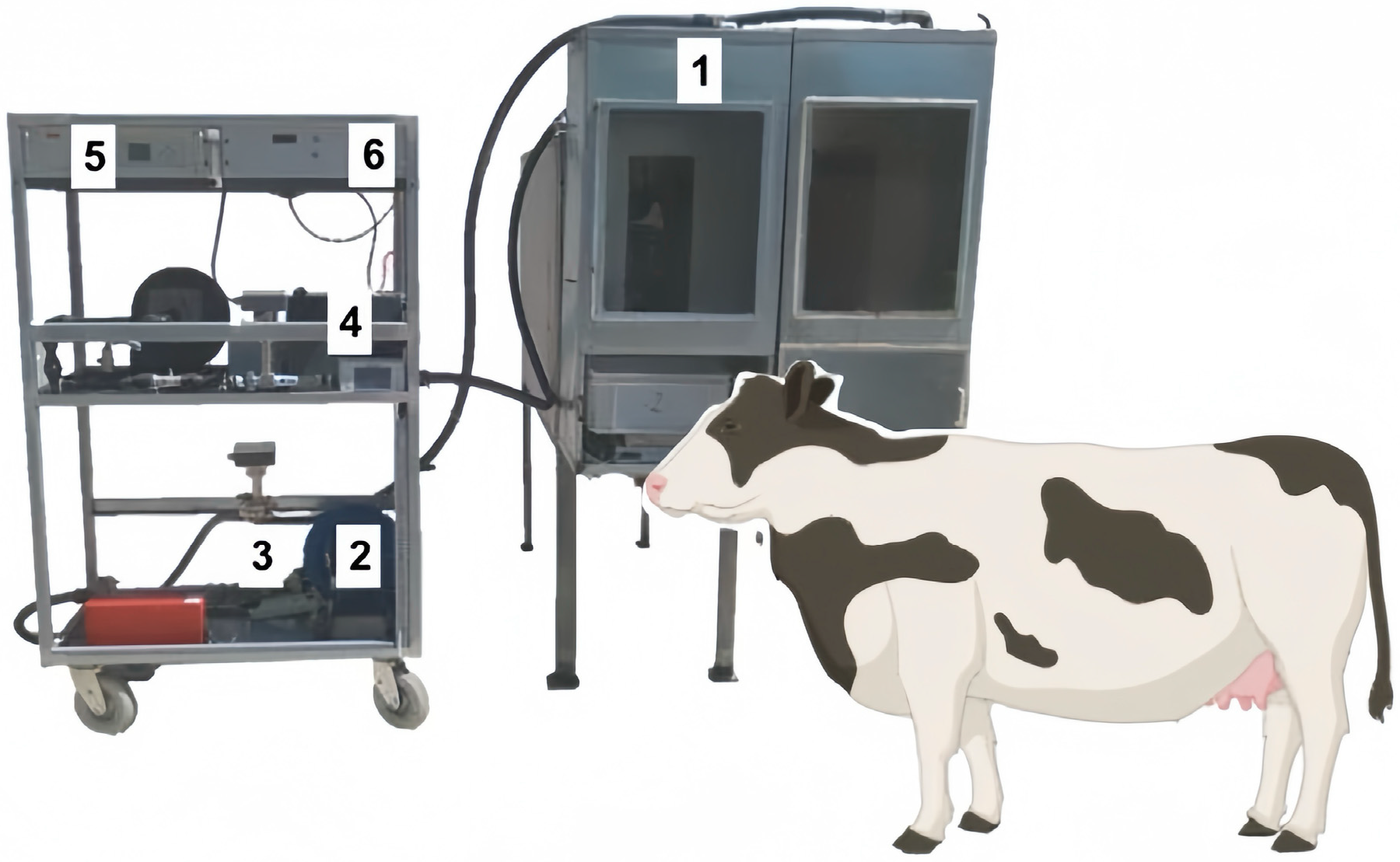 Sensors 24 04423 g012