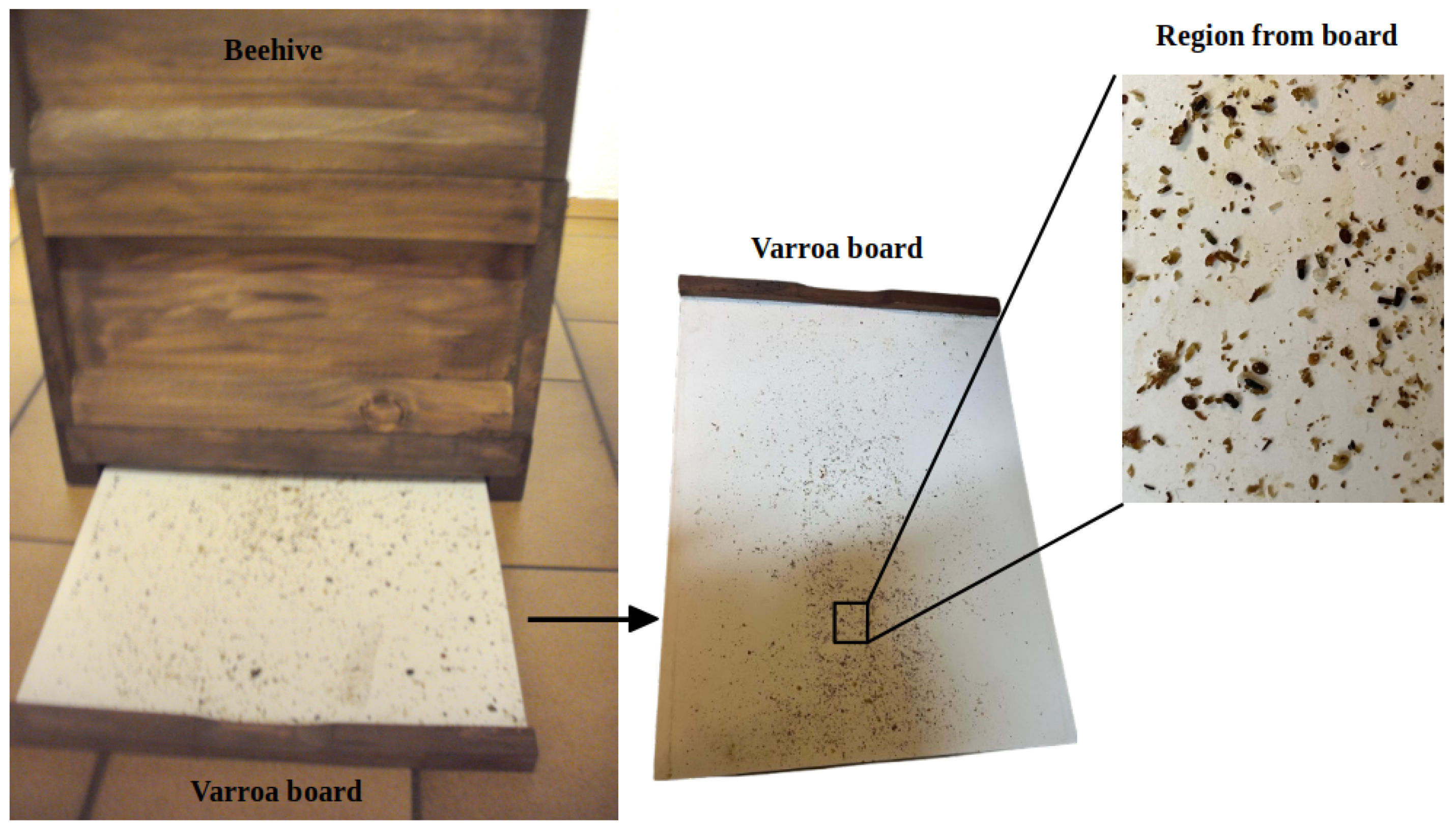 Sensors 24 04437 g001