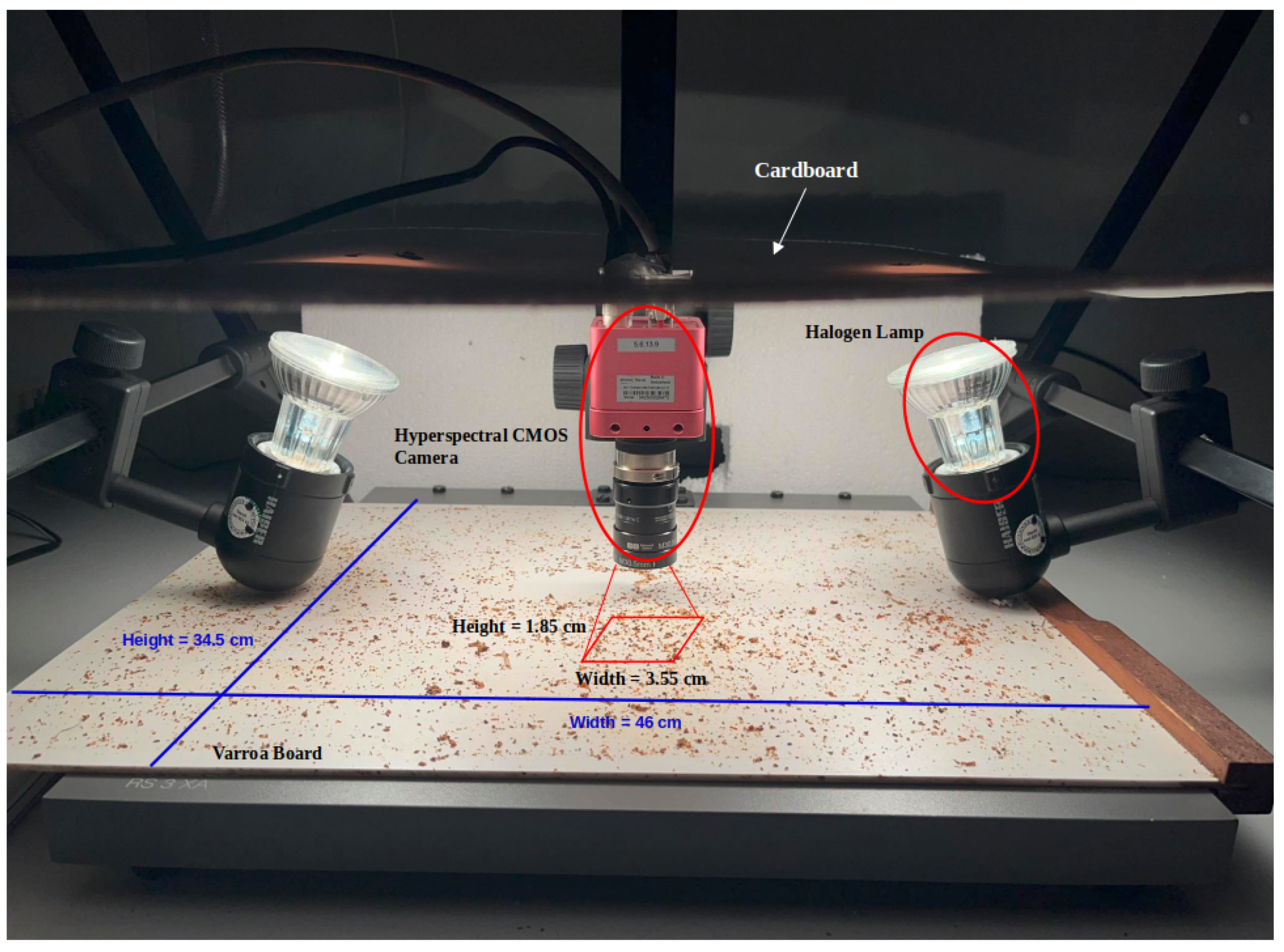 Sensors 24 04437 g002