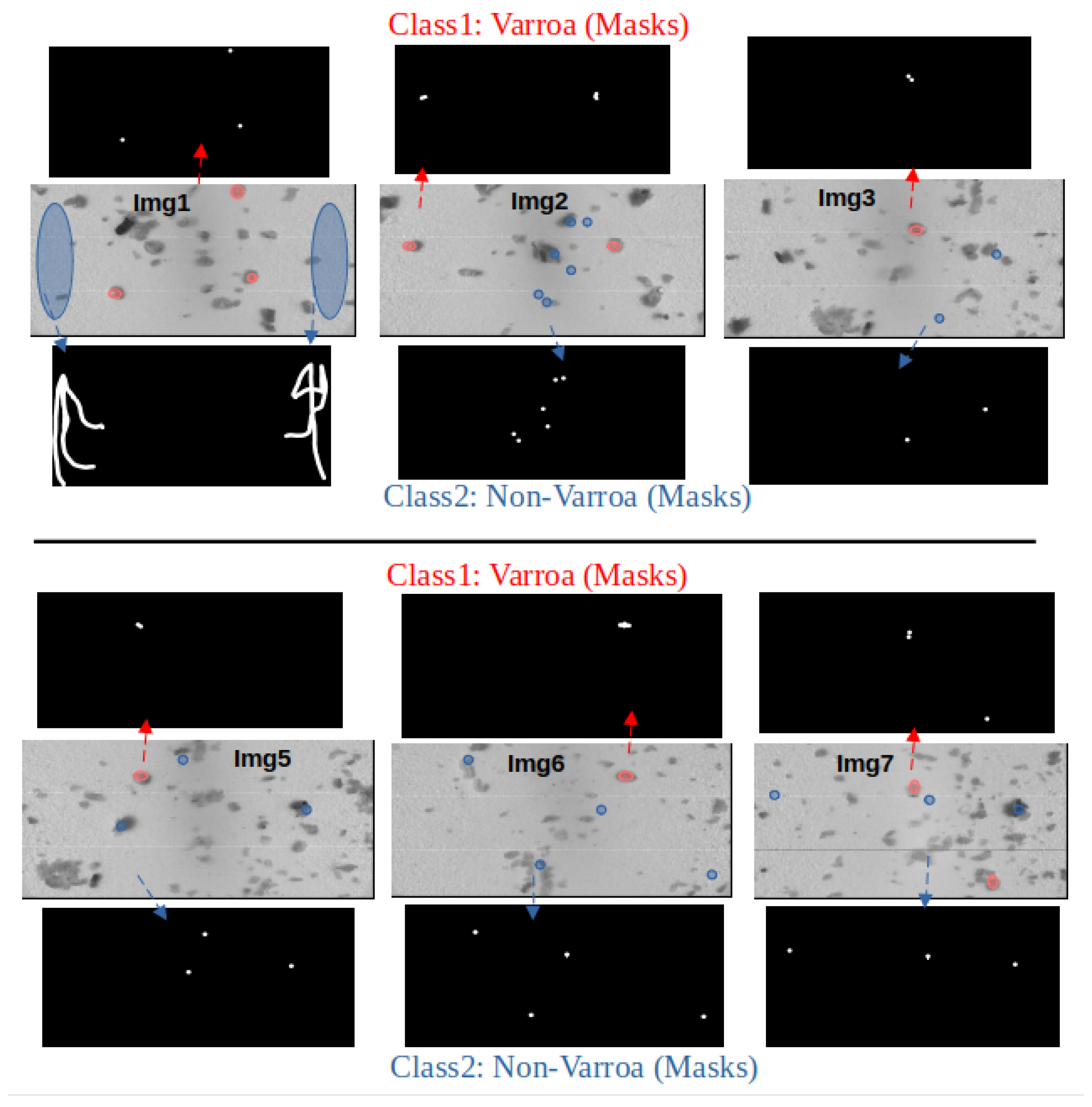 Sensors 24 04437 g005