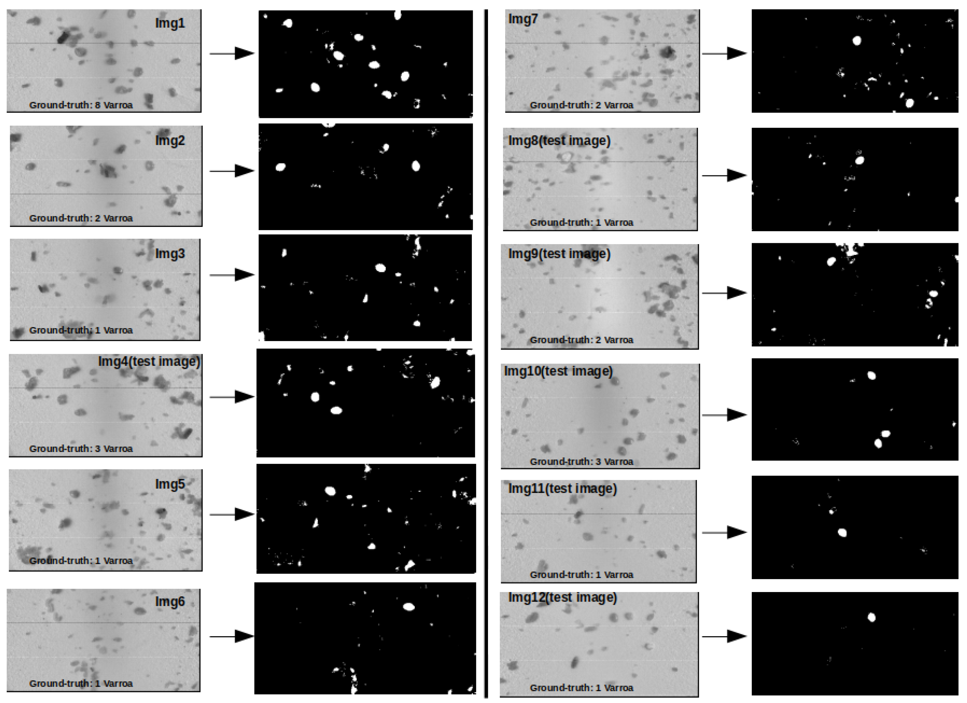 Sensors 24 04437 g008