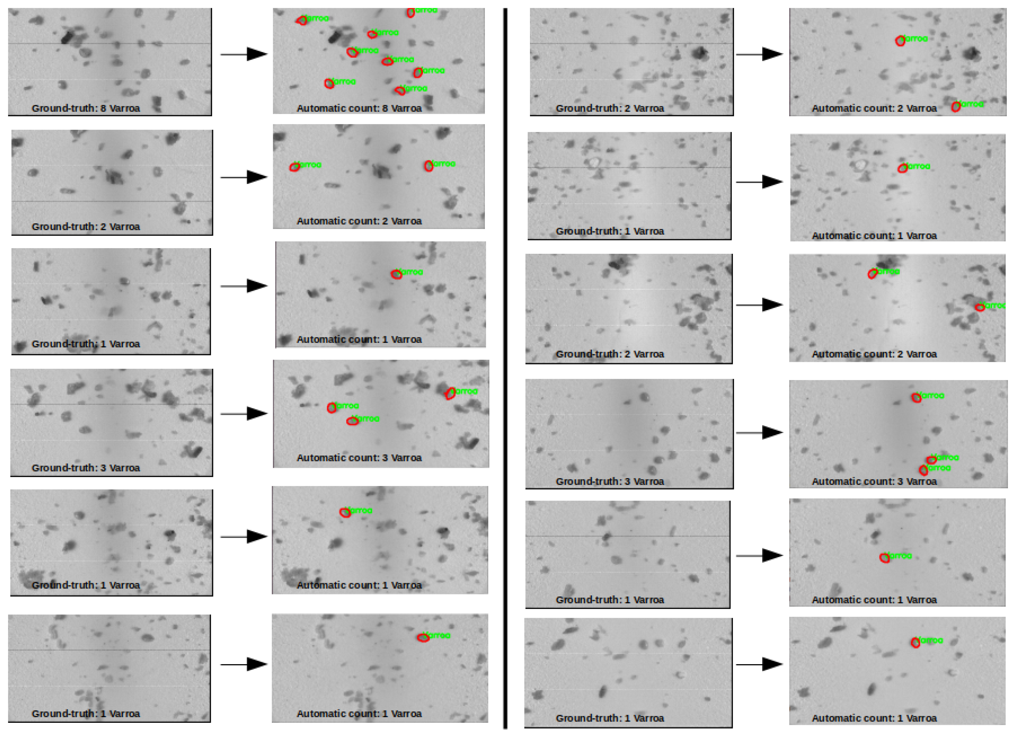 Sensors 24 04437 g009