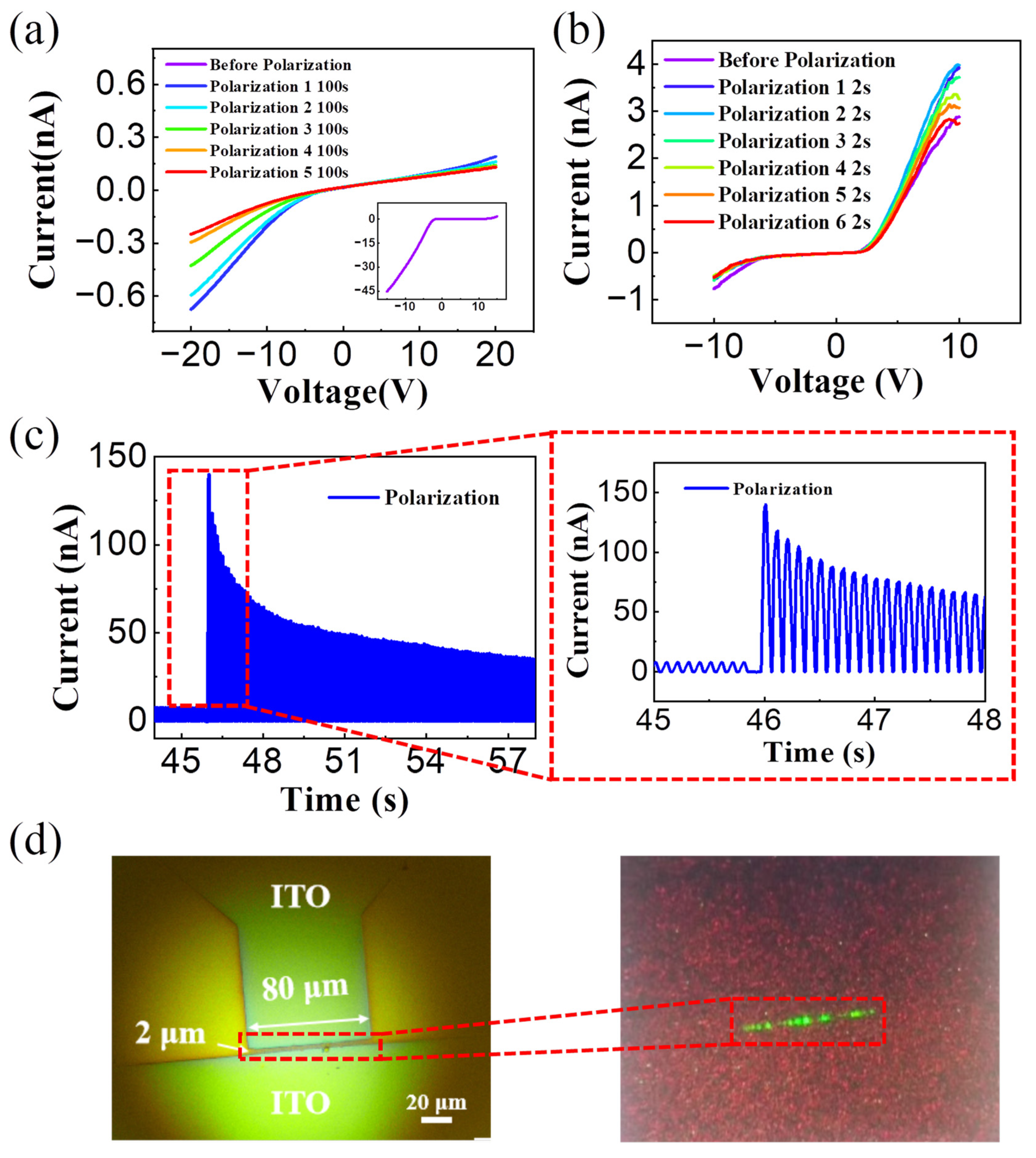 Sensors 24 04454 g005