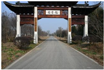 Sensors 24 04459 i001