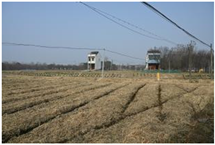 Sensors 24 04459 i009