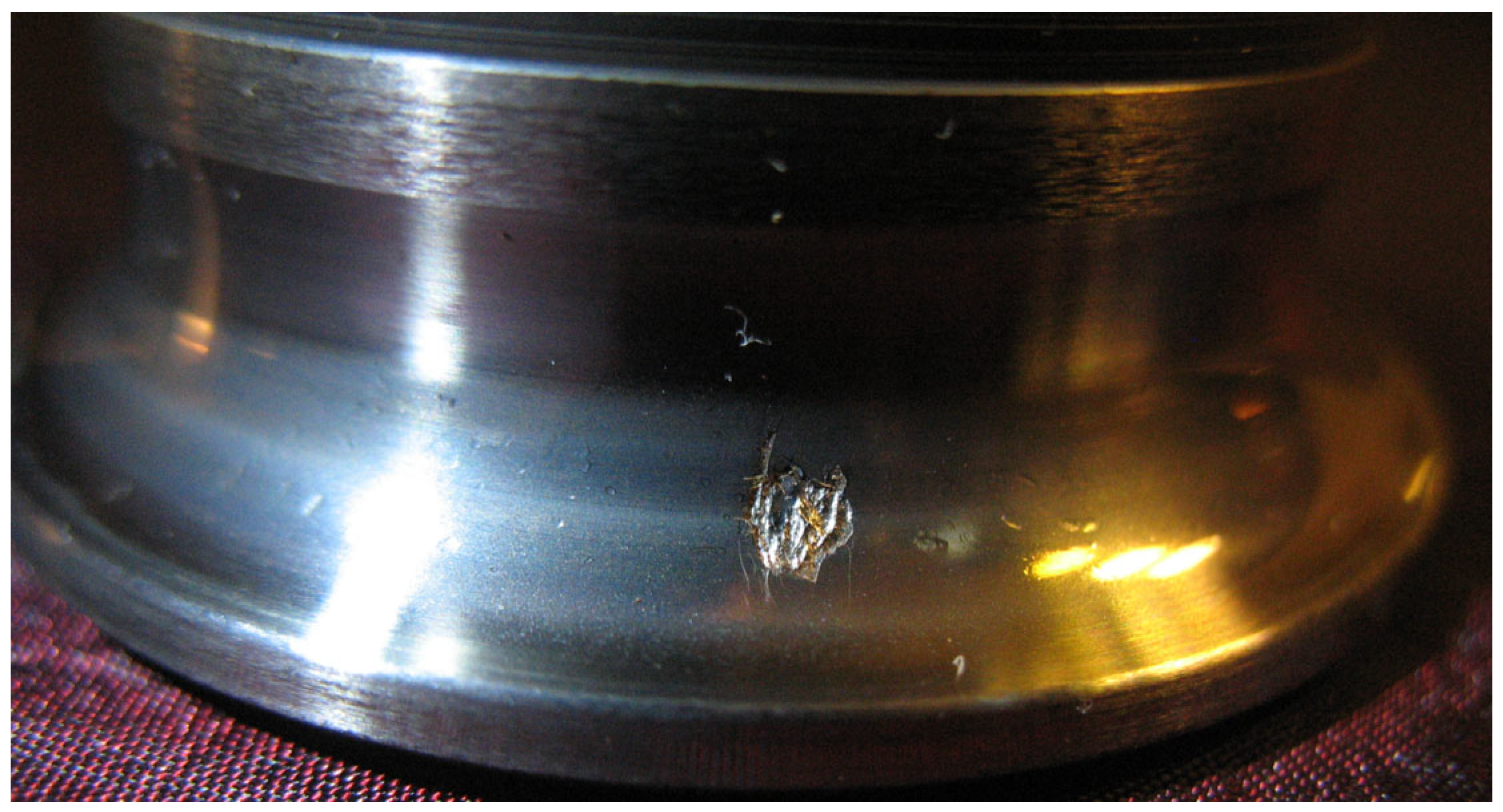 Sensors 24 04463 g002