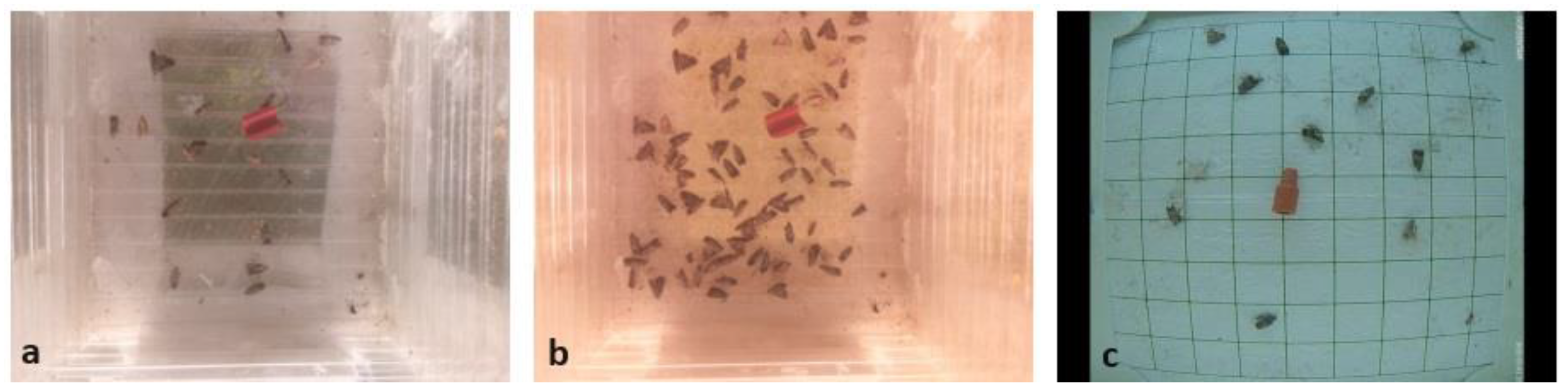 Sensors 24 04502 g003