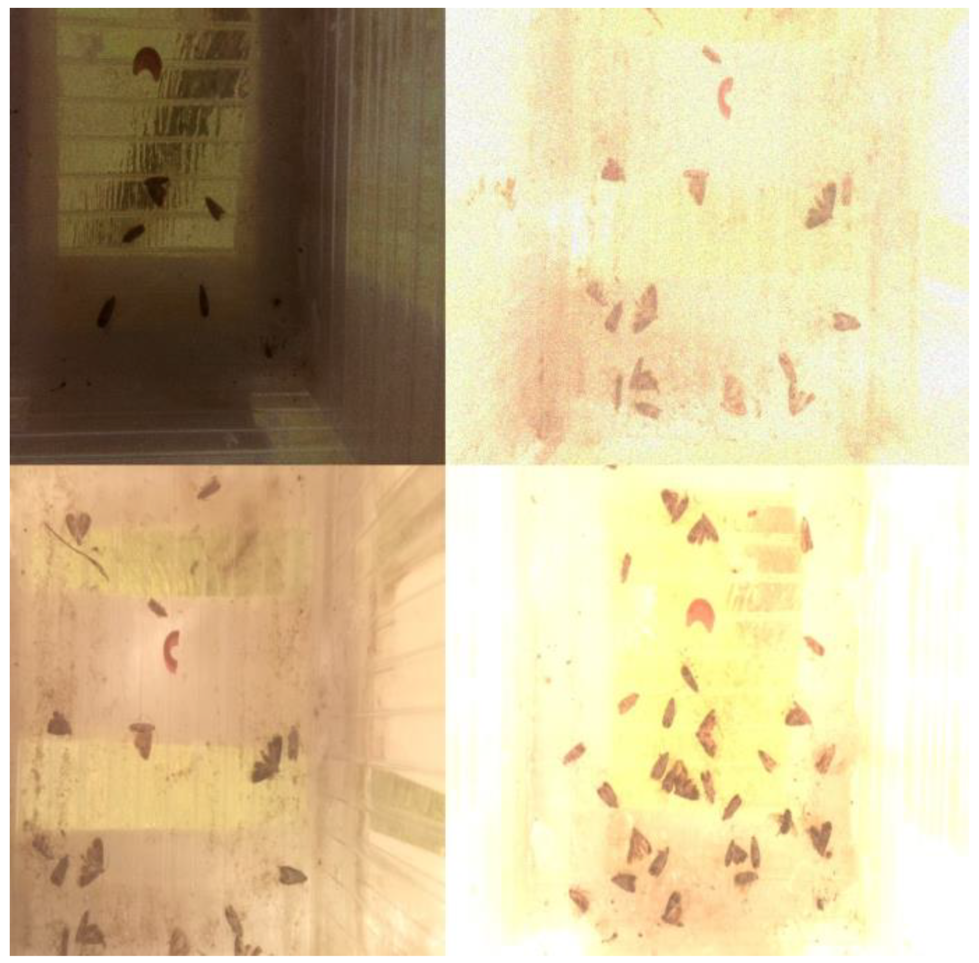 Sensors 24 04502 g007