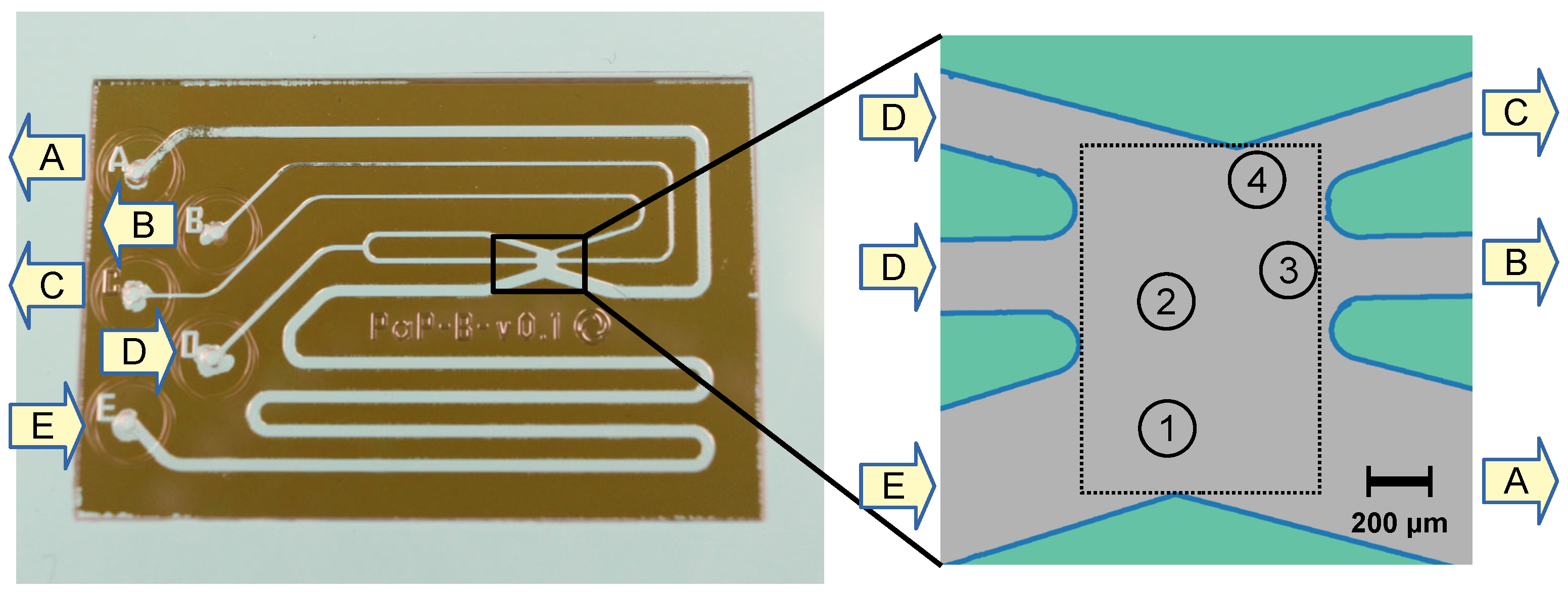 Sensors 24 04503 g003