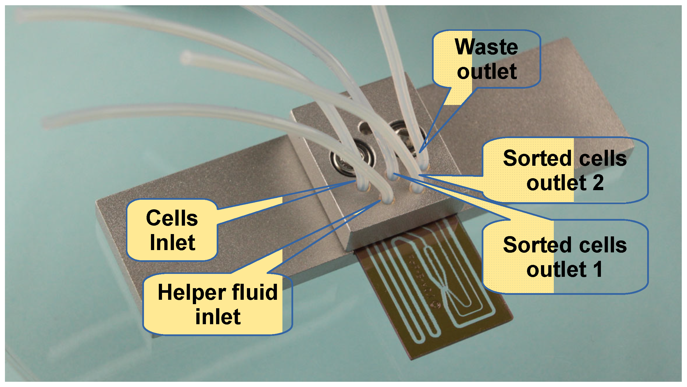 Sensors 24 04503 g004