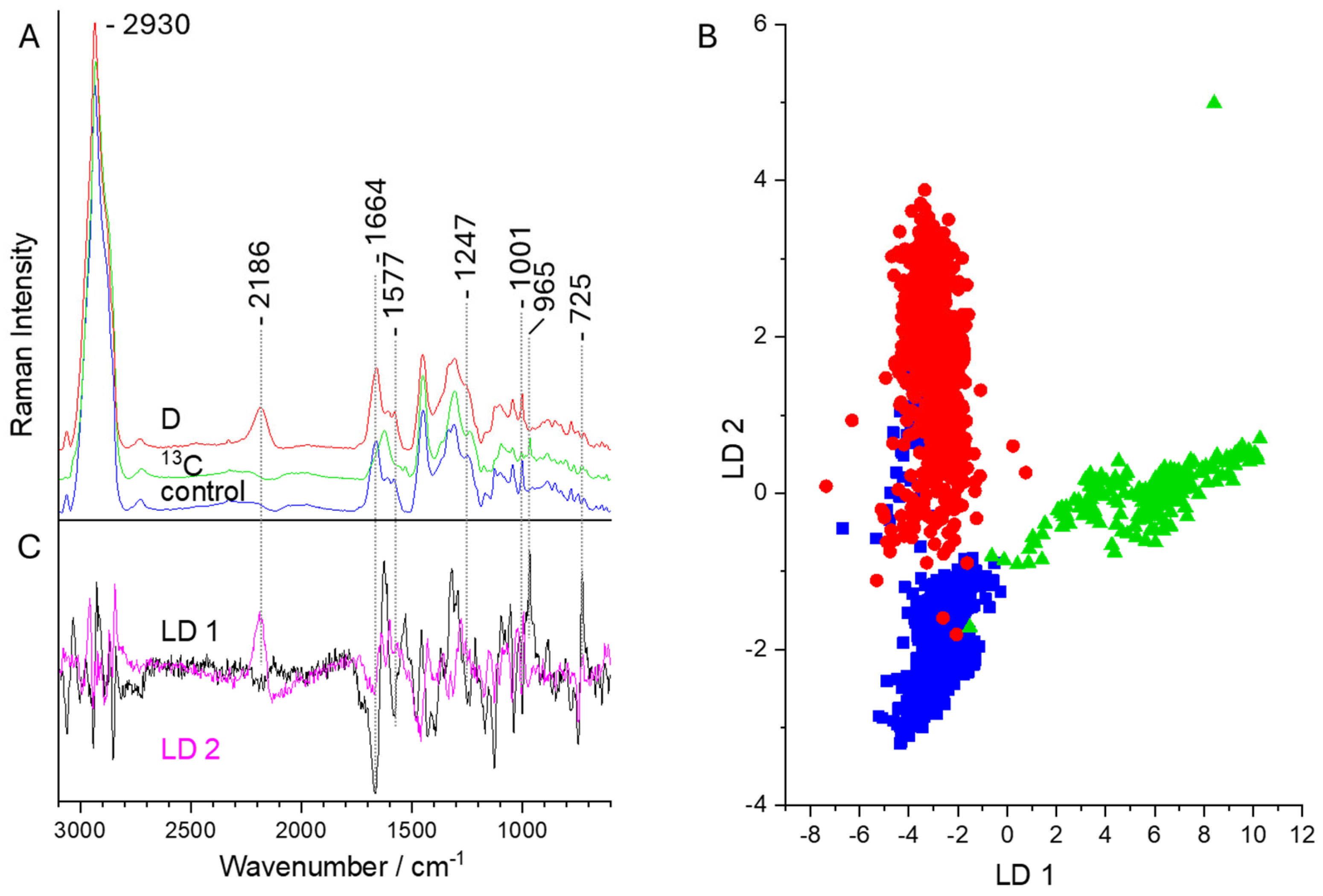 Sensors 24 04503 g006