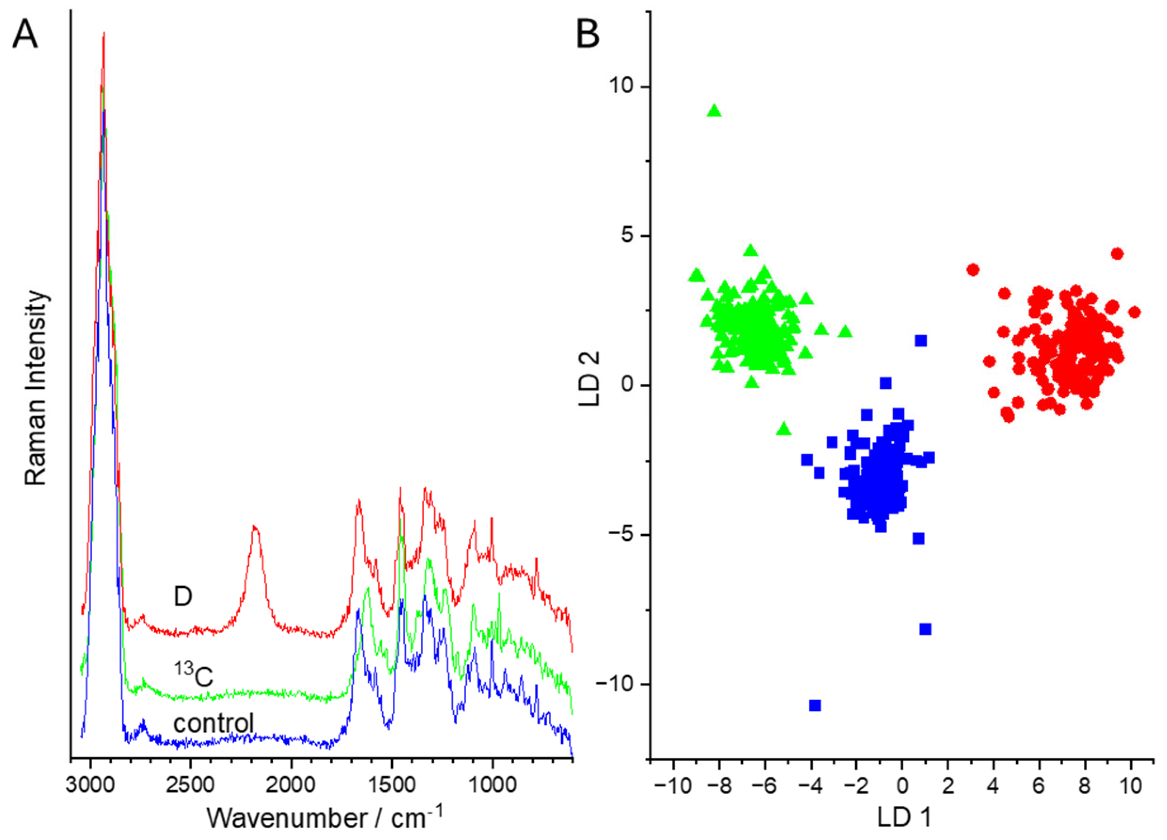 Sensors 24 04503 g008