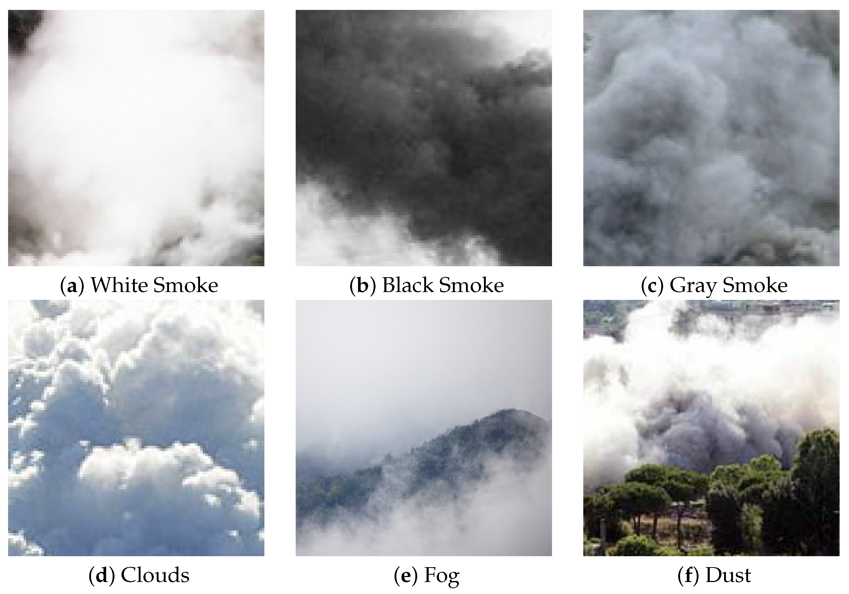 Sensors 24 04519 g001