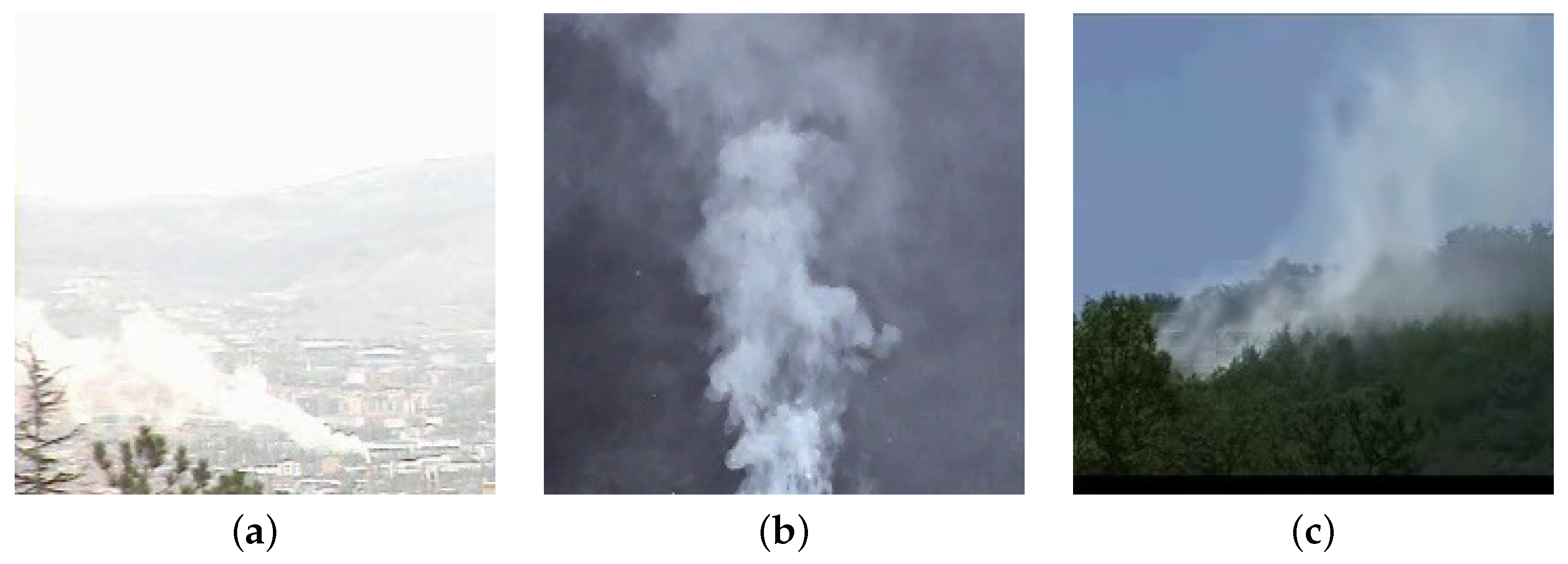 Sensors 24 04519 g002