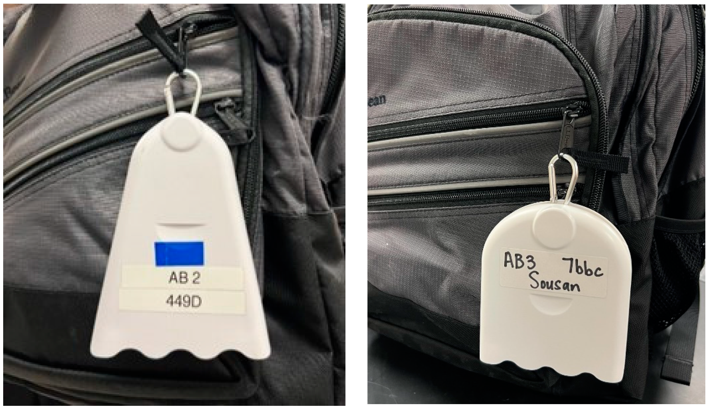 Sensors 24 04520 g001