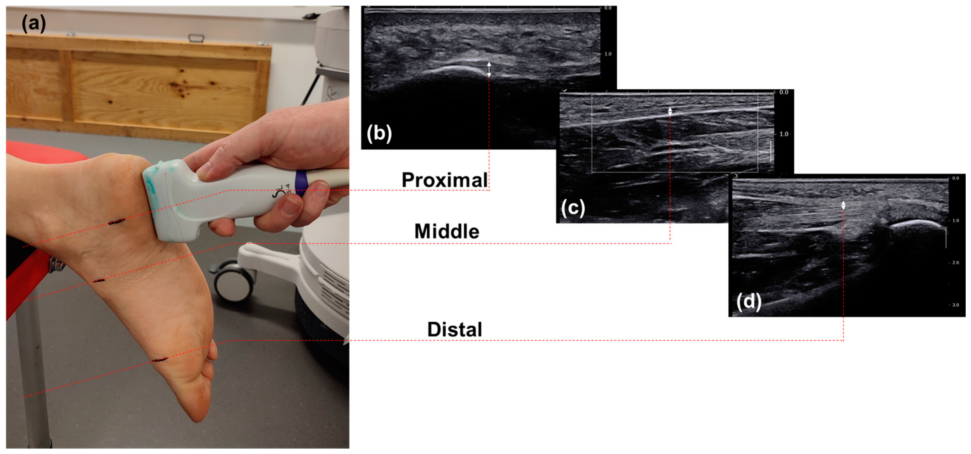 Sensors 24 04552 g001
