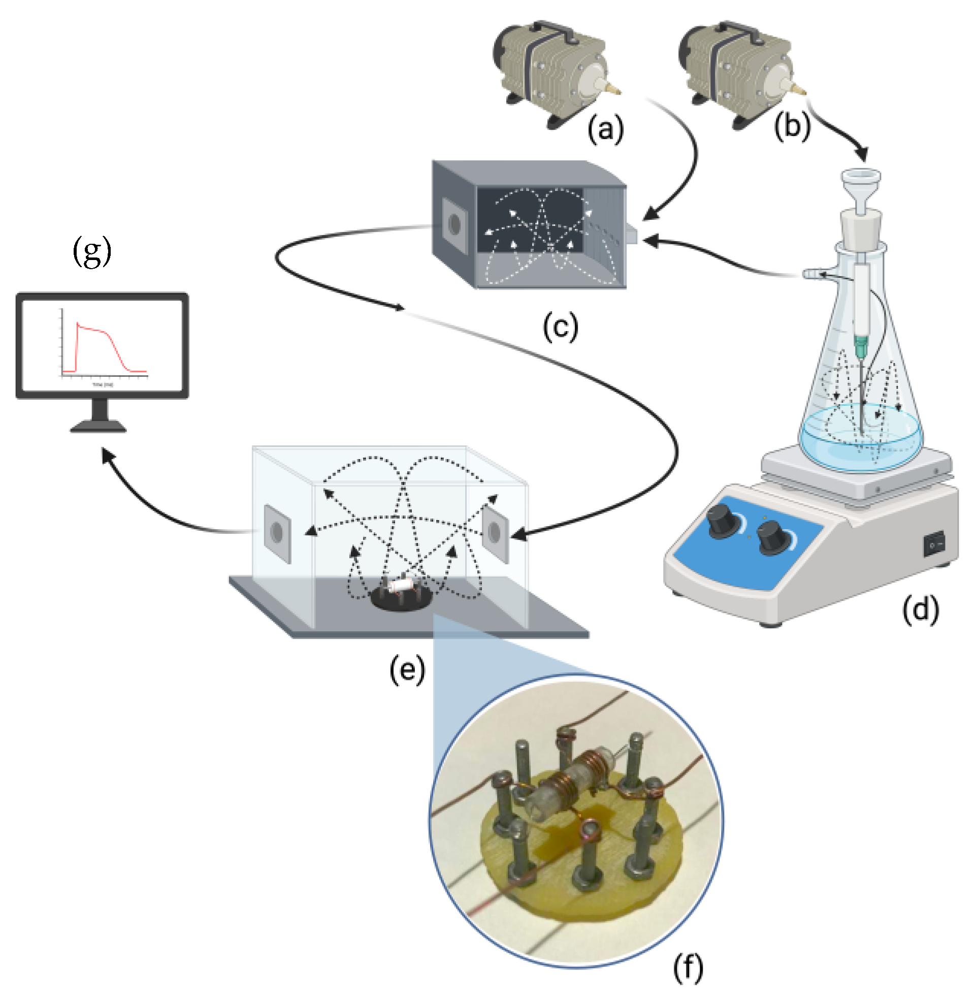 Sensors 24 04560 g003