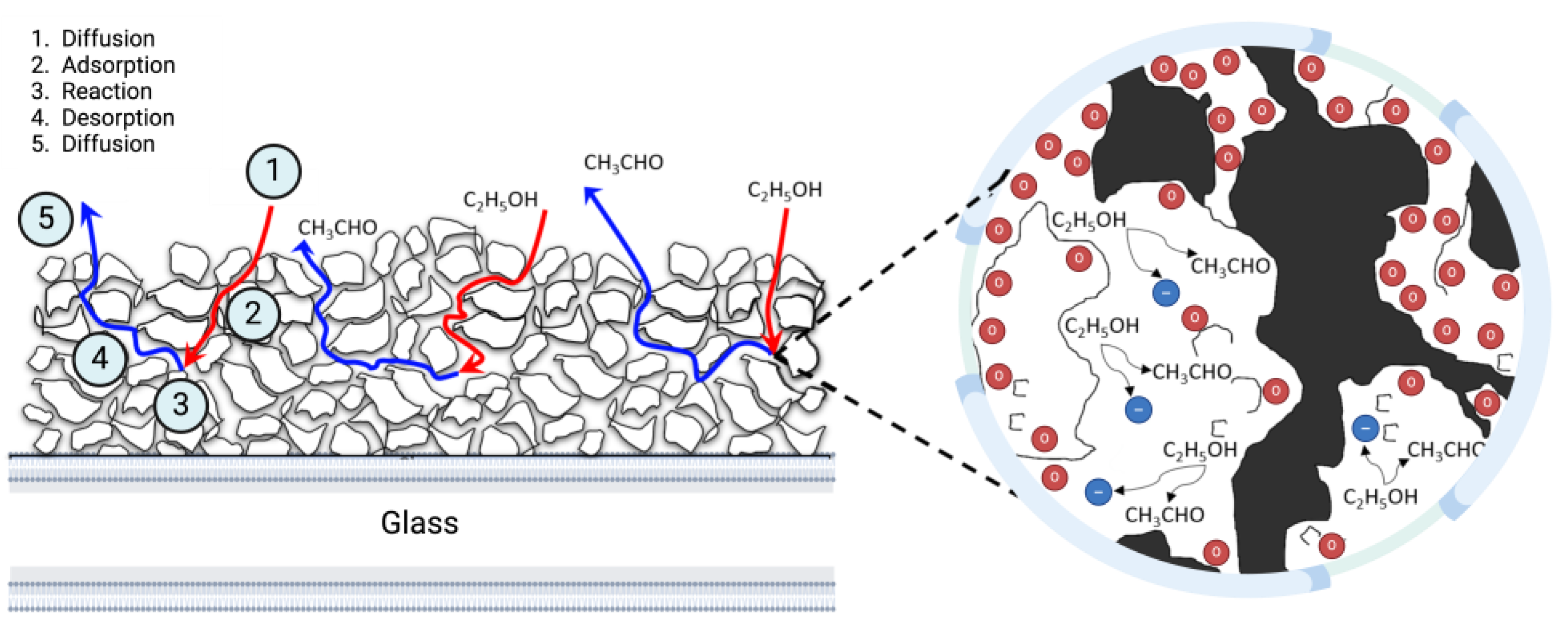 Sensors 24 04560 g008