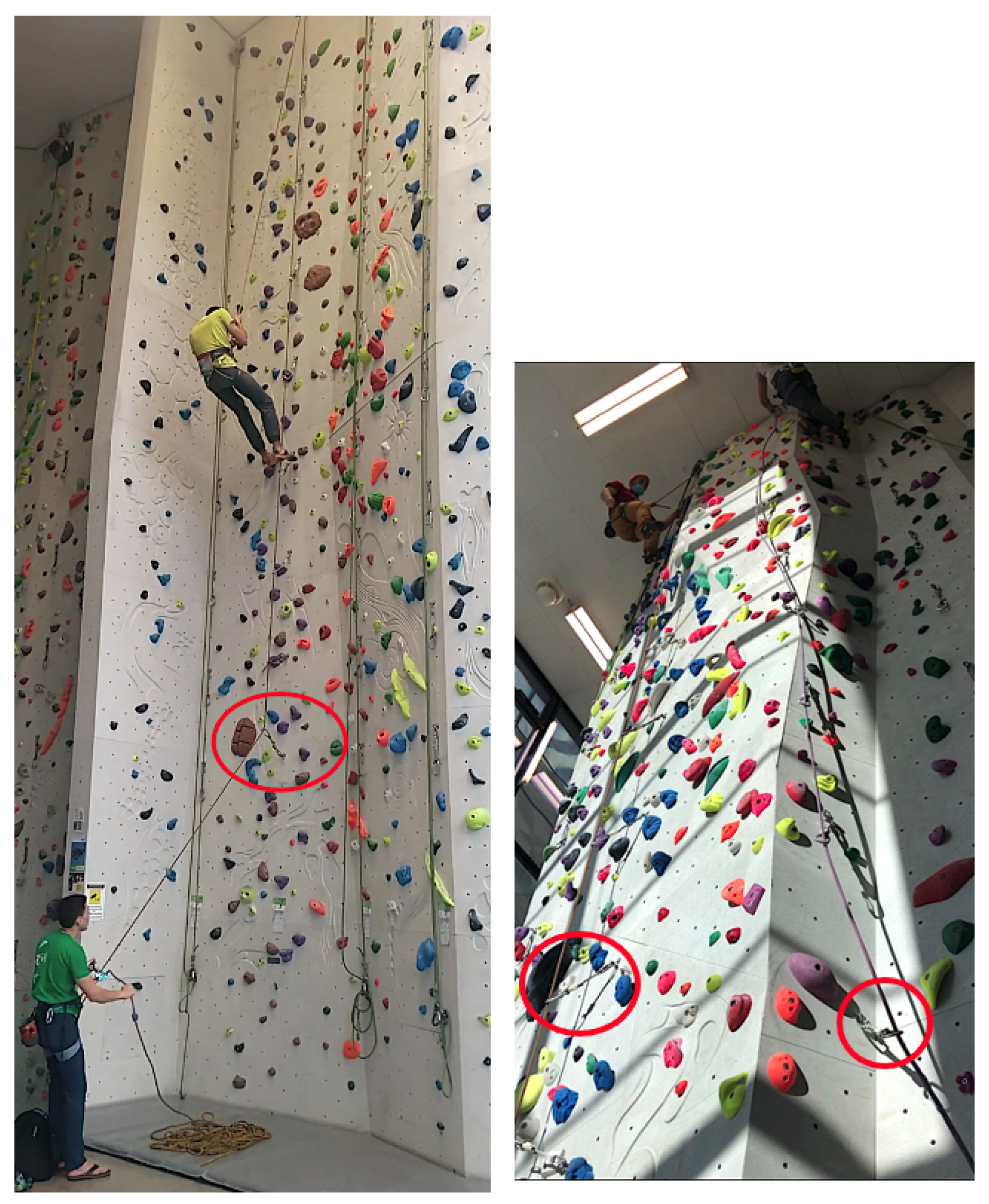 Sensors 24 04576 g003